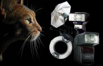 FLash Technology Guide