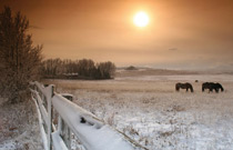 53 winter projects