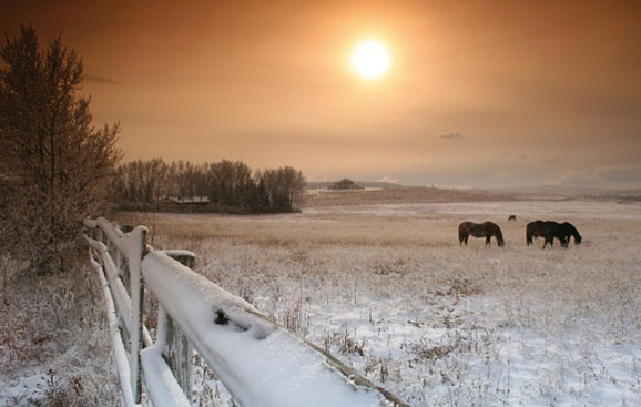 53 winter projects