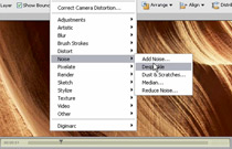 Adobe Photoshop Elements 5: Adding Texture
