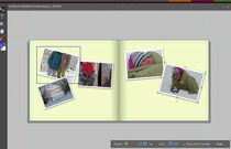 Adobe Photoshop Elements 6: Introducing Photo Books