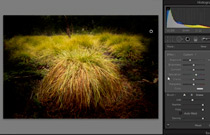 Adobe Photoshop CS4: Dodge and Burn