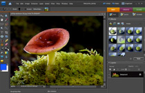 Adobe Photoshop Elements 7: Smart Brush