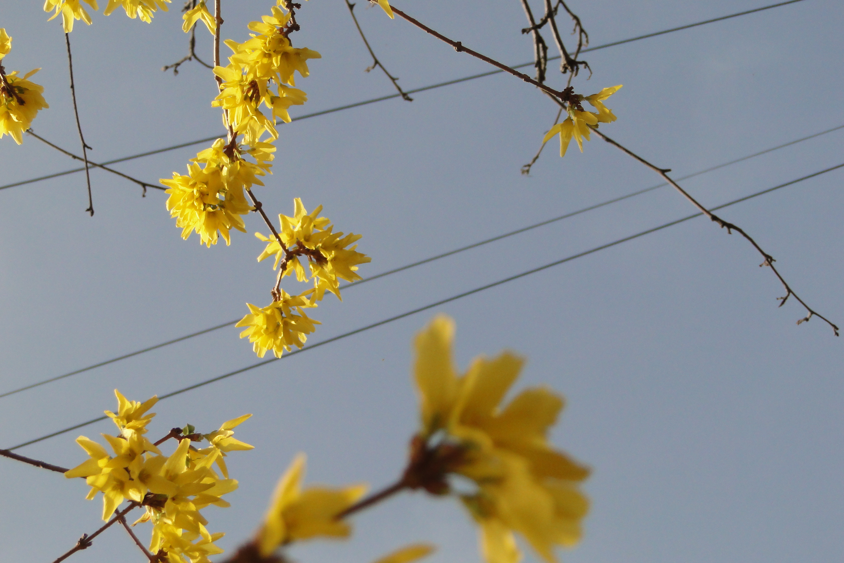Sony HX1 Sample Image2