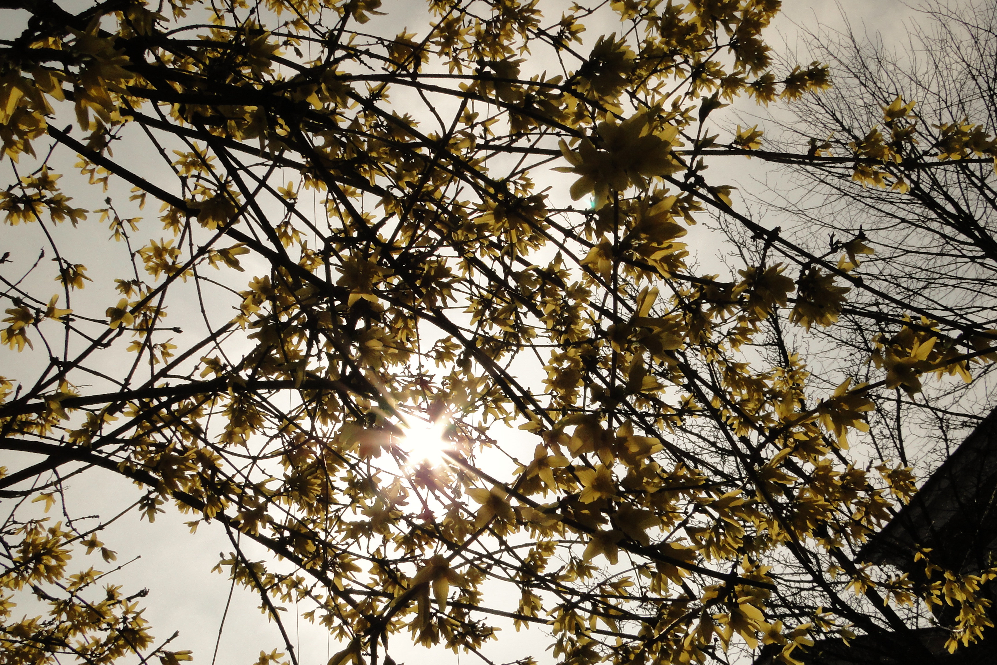 Sony HX1 Sample Image3