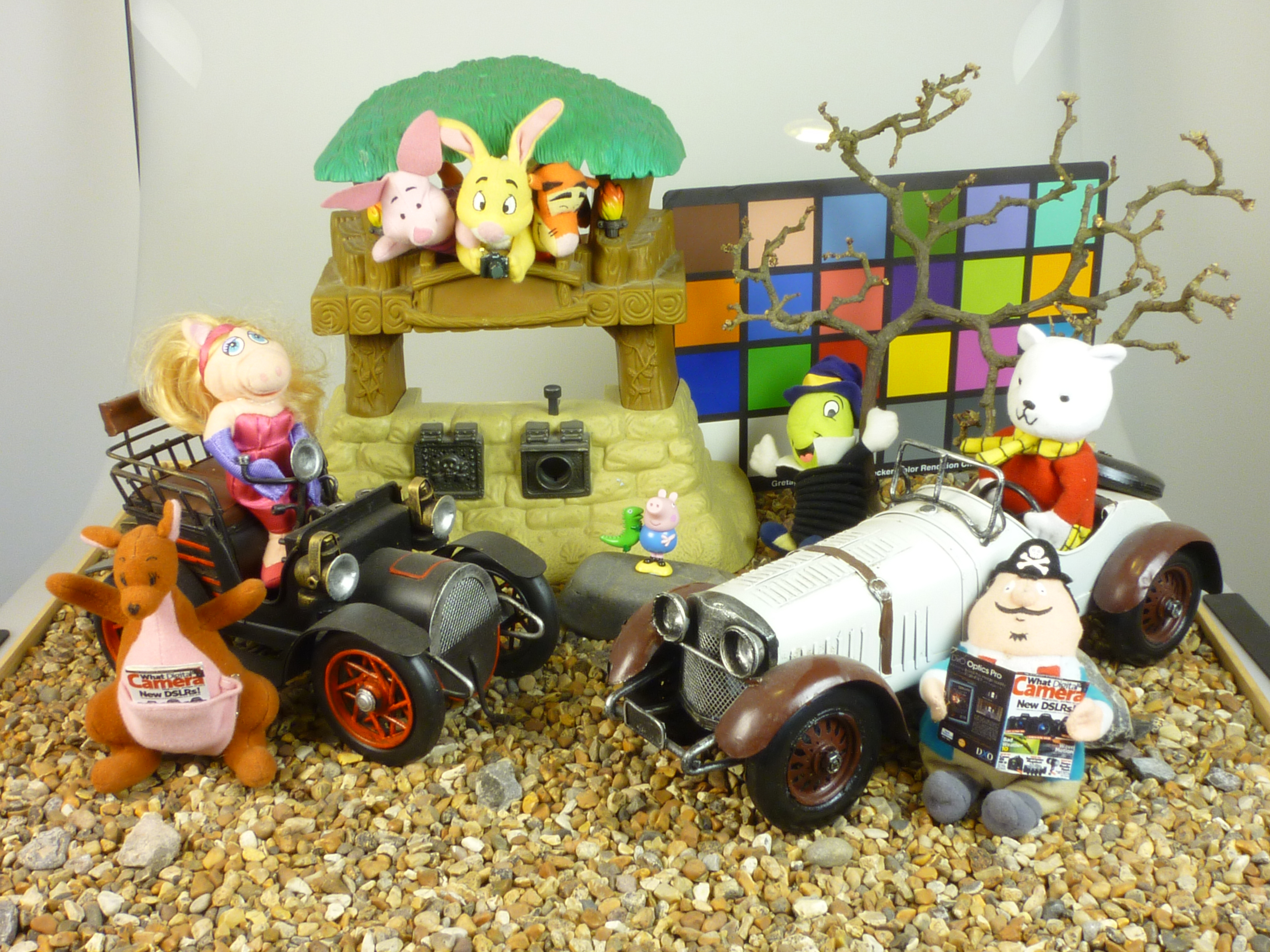 Panasonic FX550 review sample image - ISO 80