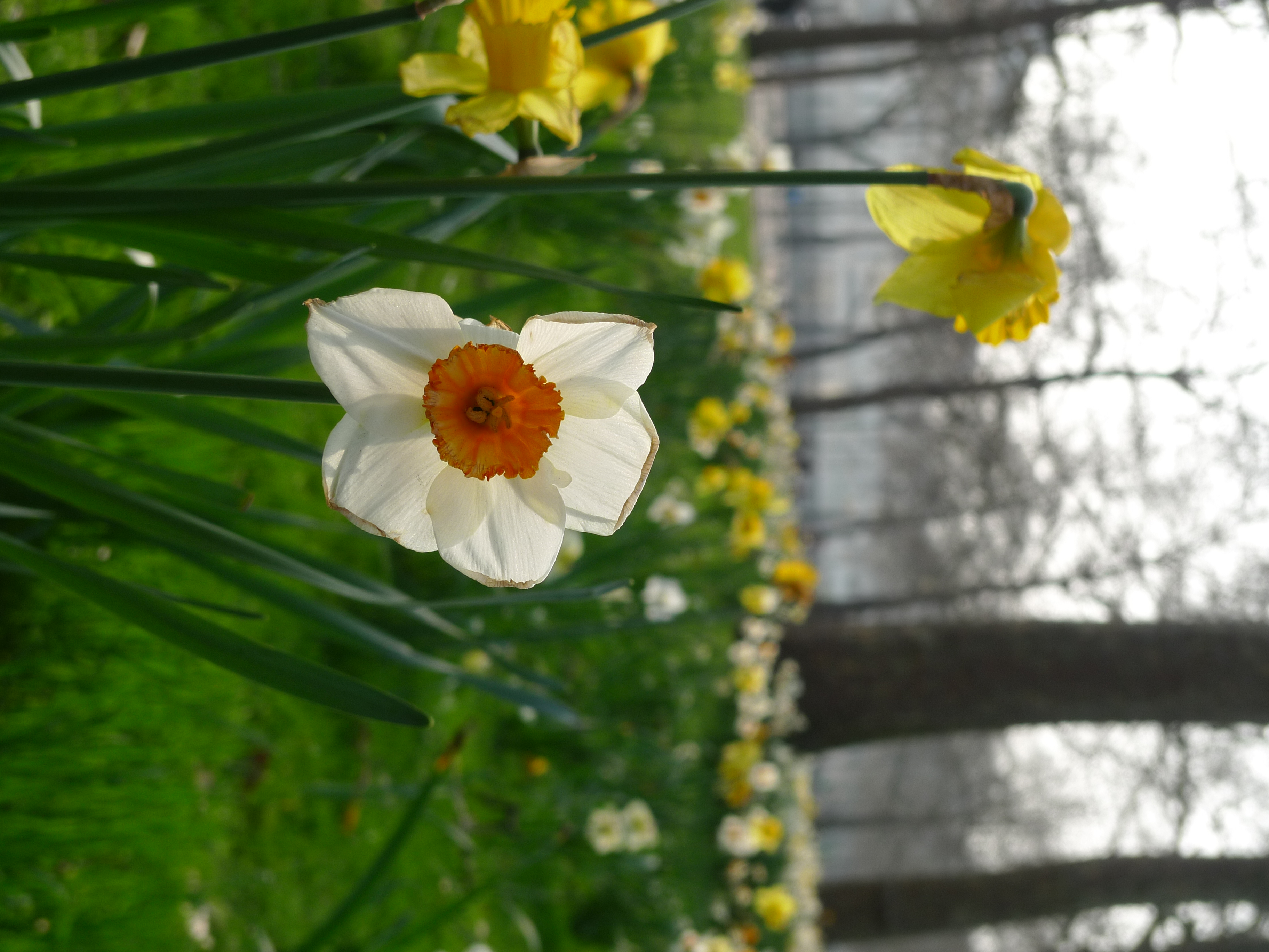 Panasonic LX3 sample 5