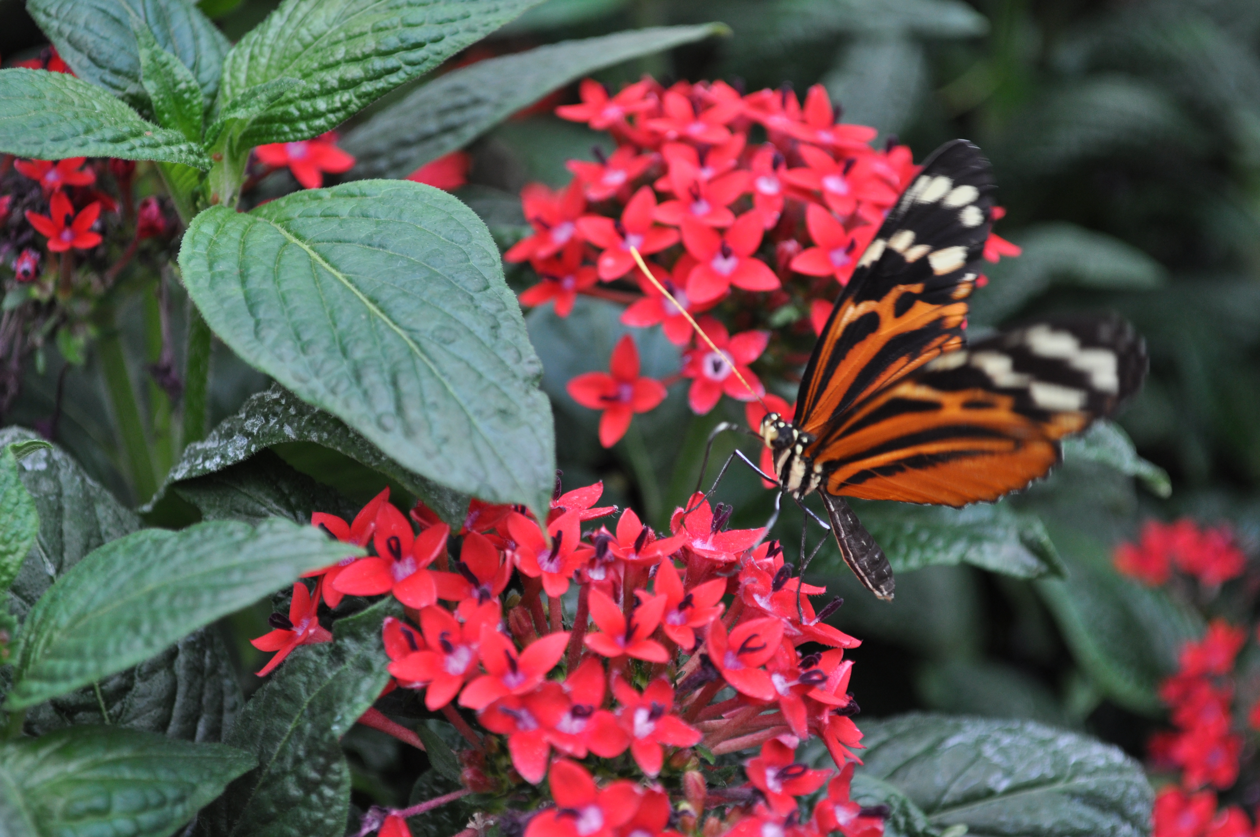 Nikon d5000 sample shot