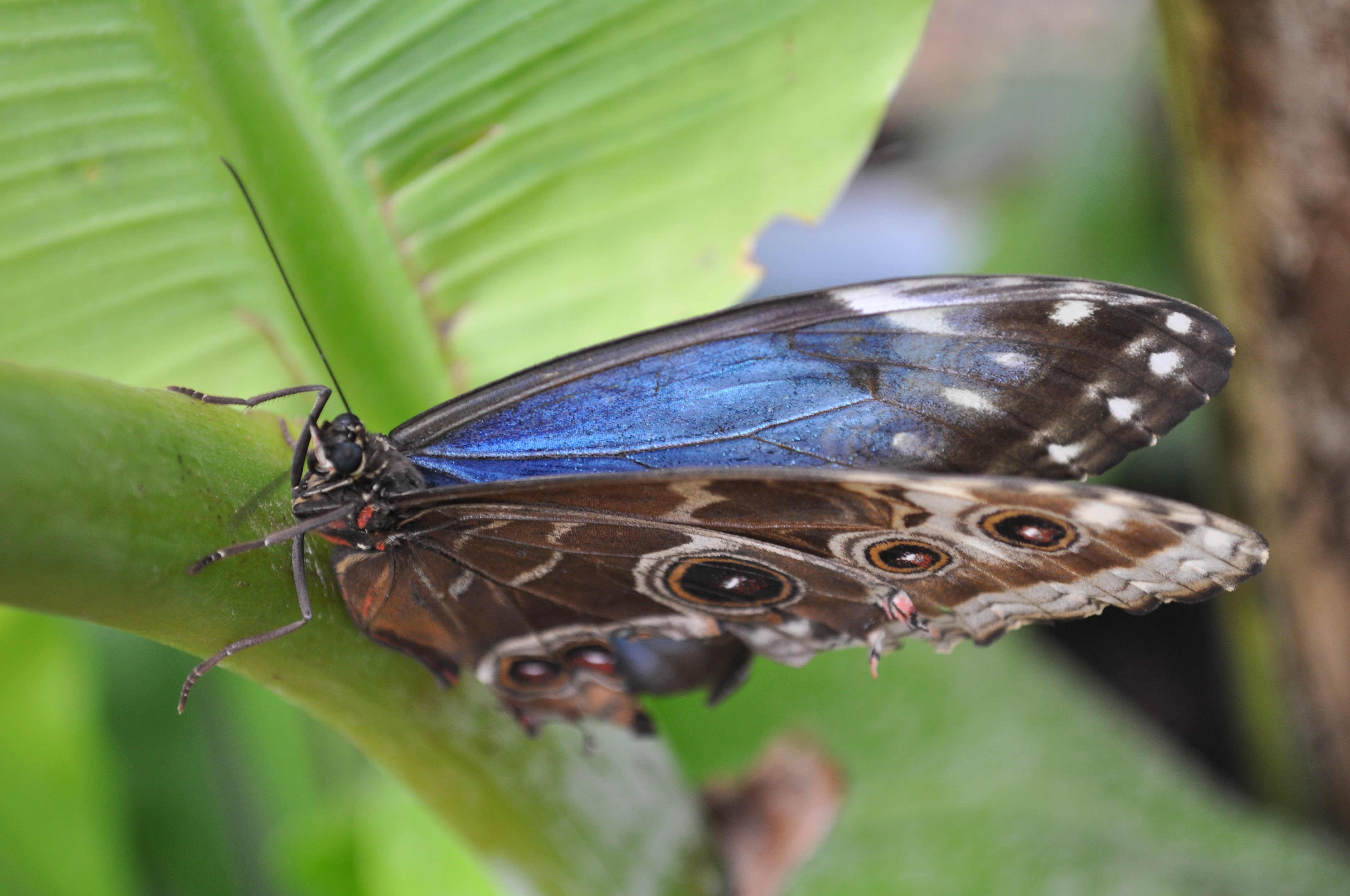 Nikon d5000 sample shot