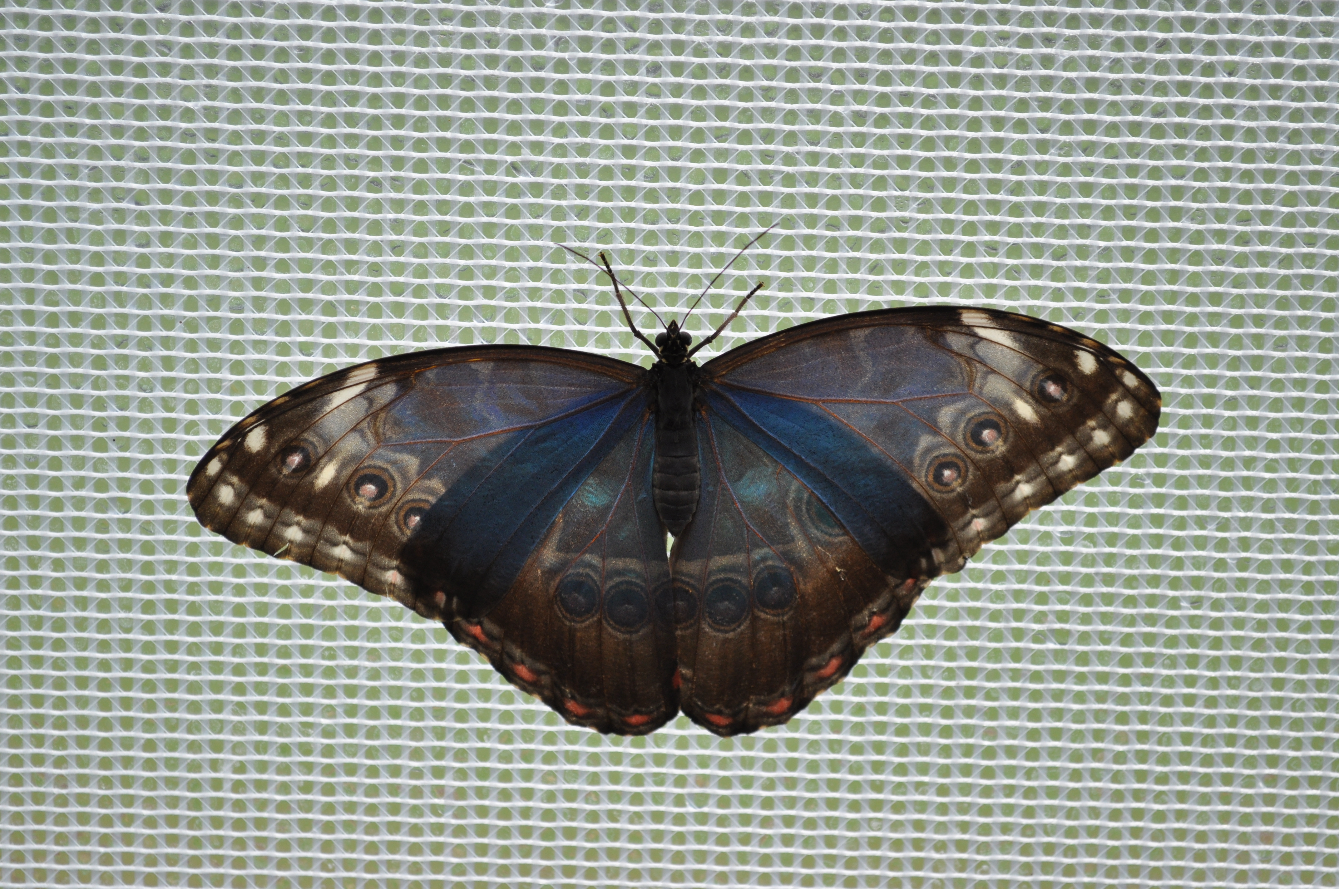 Nikon d5000 sample shot