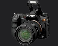 Top 5 credit crunch entry-level DSLR cameras