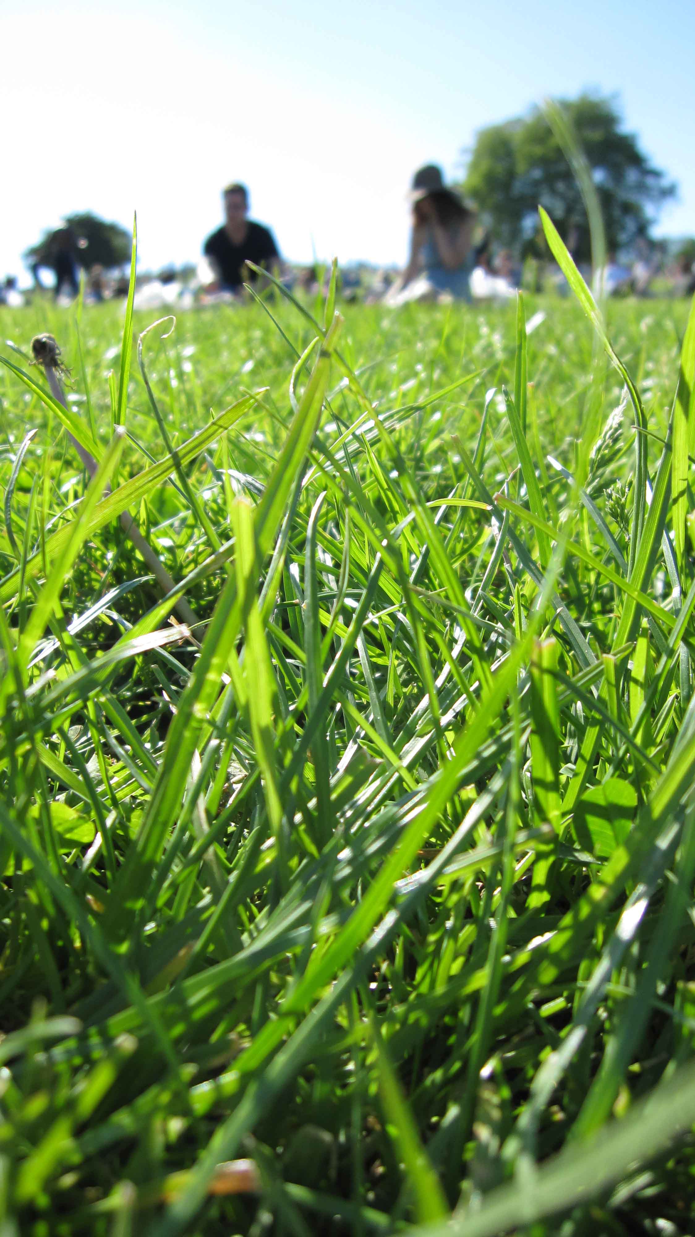 Canon Ixus 110 IS Image Sample
