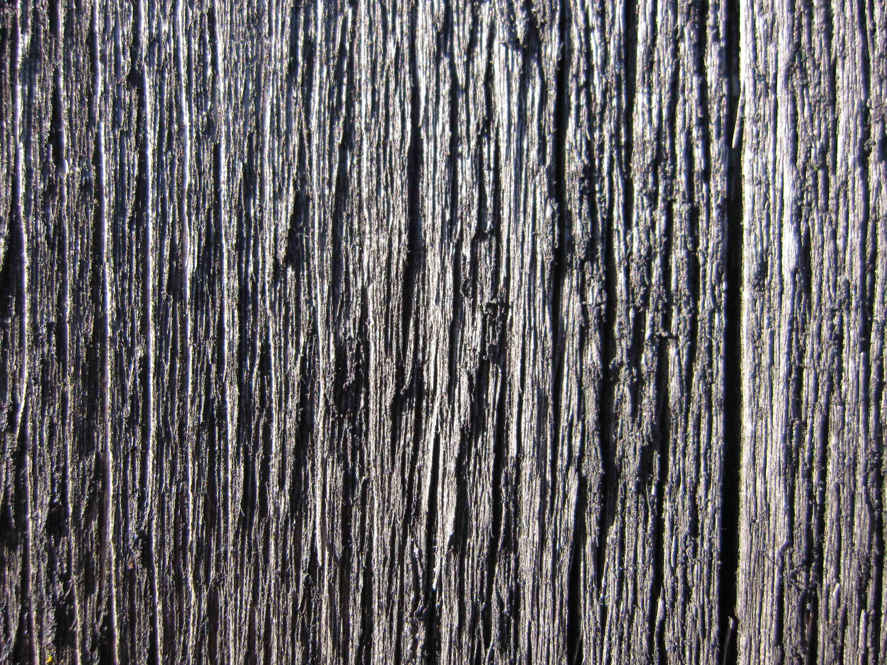 Canon Ixus 110 IS Image Sample