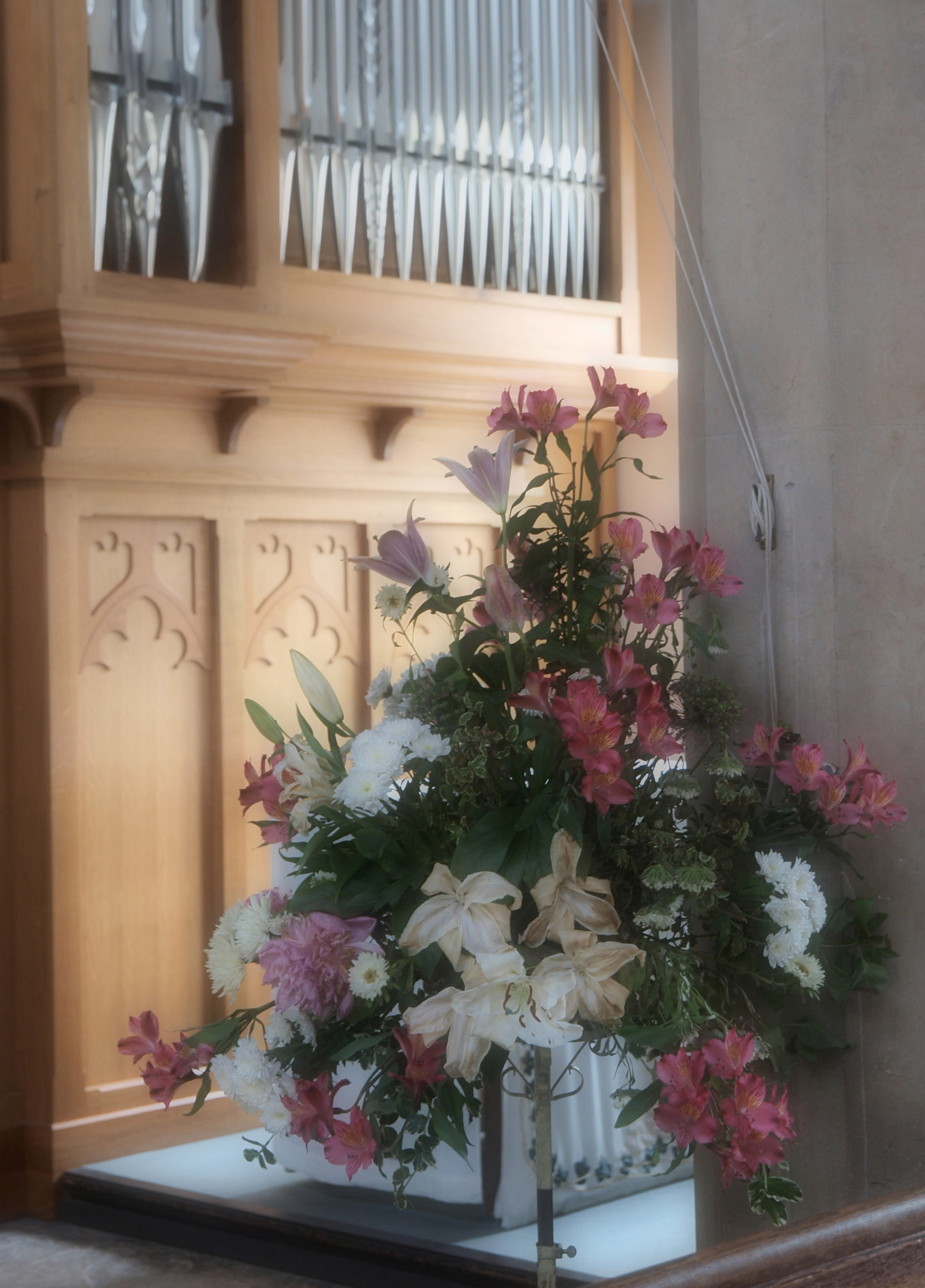 Olympus E-450 Sample Image