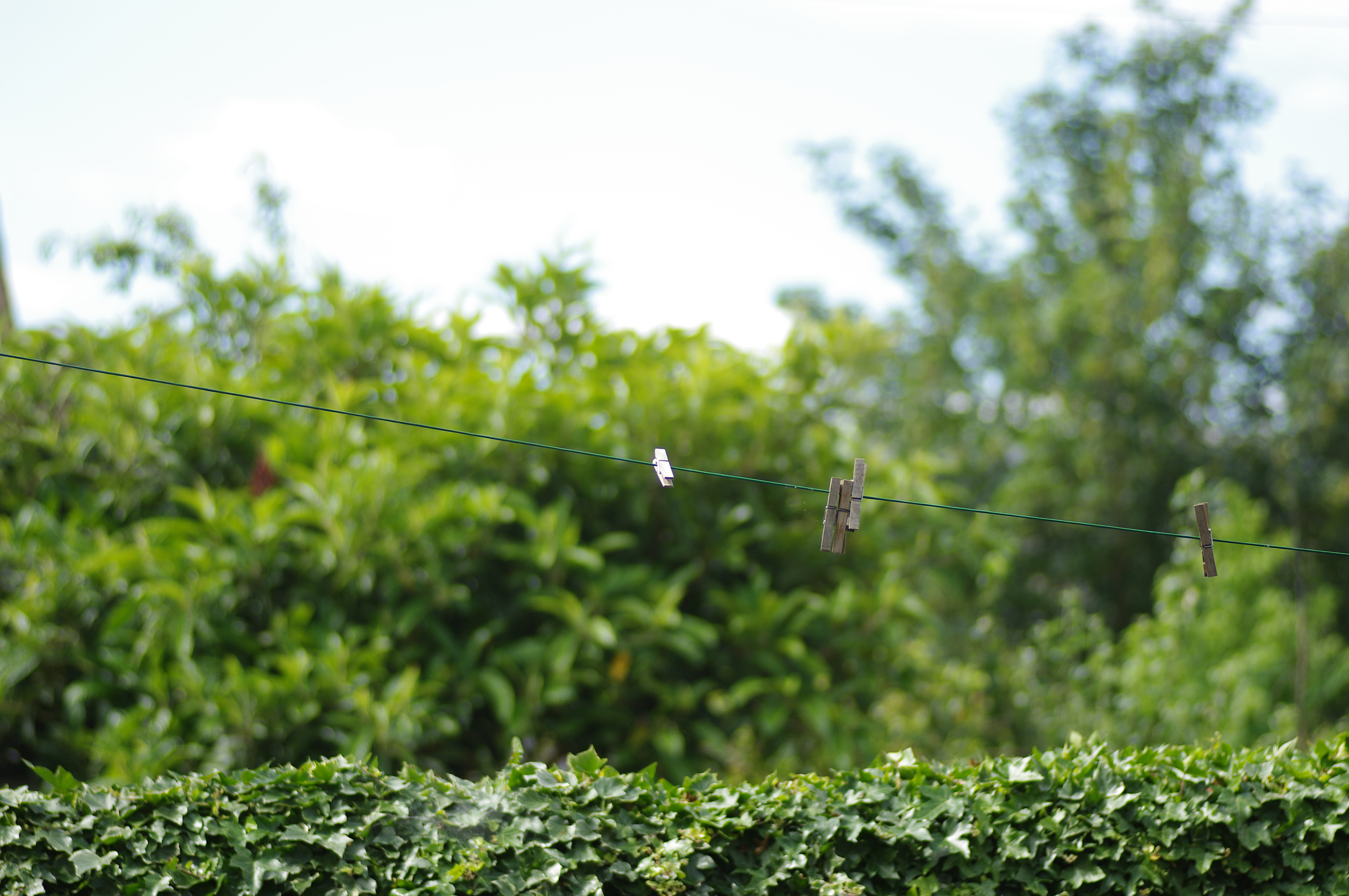 Pentax K-7 pre-production DSLR with firmware 1.00 review sample image