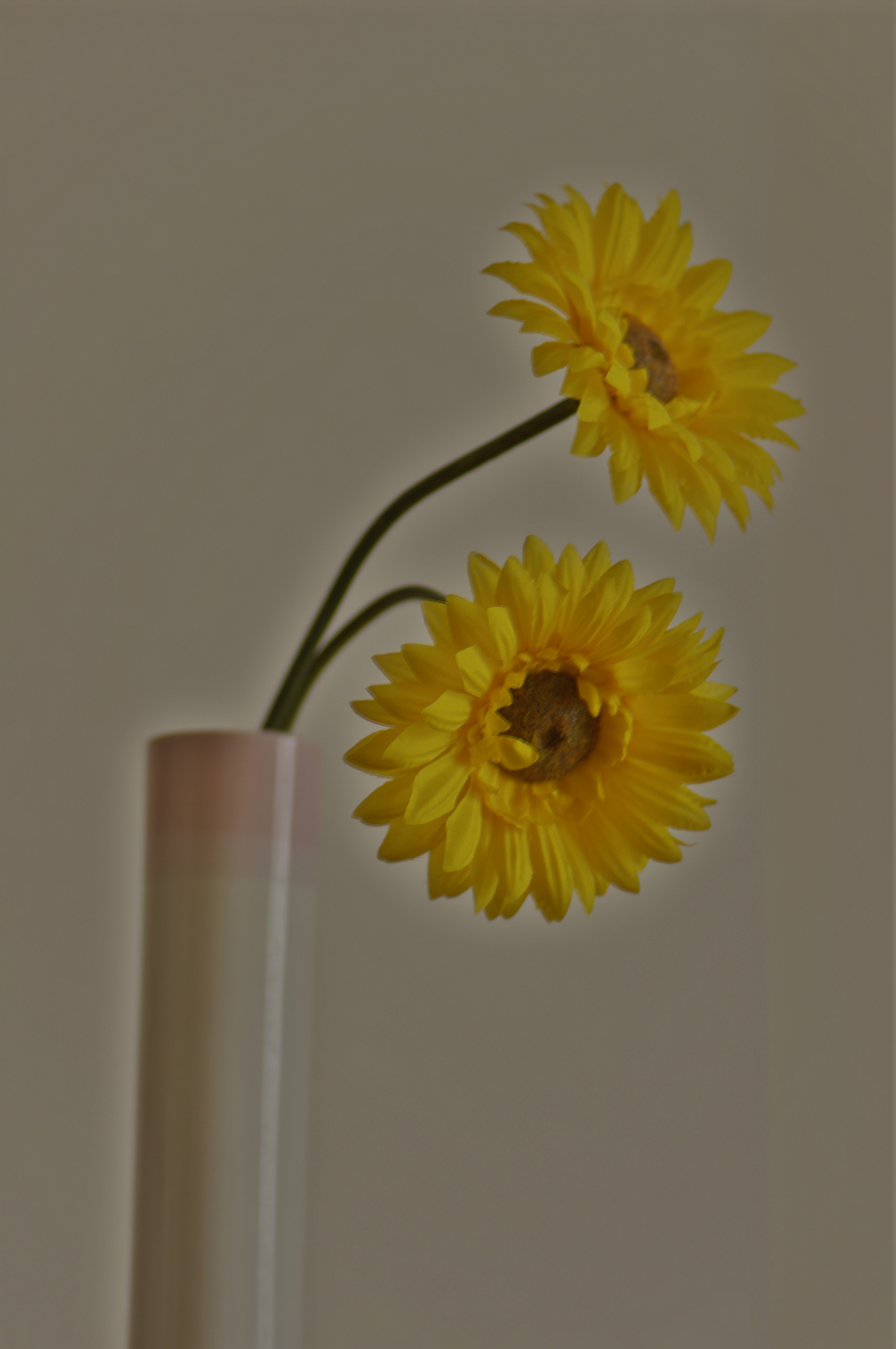 Pentax K-7 pre-production DSLR with firmware 1.00 review sample image