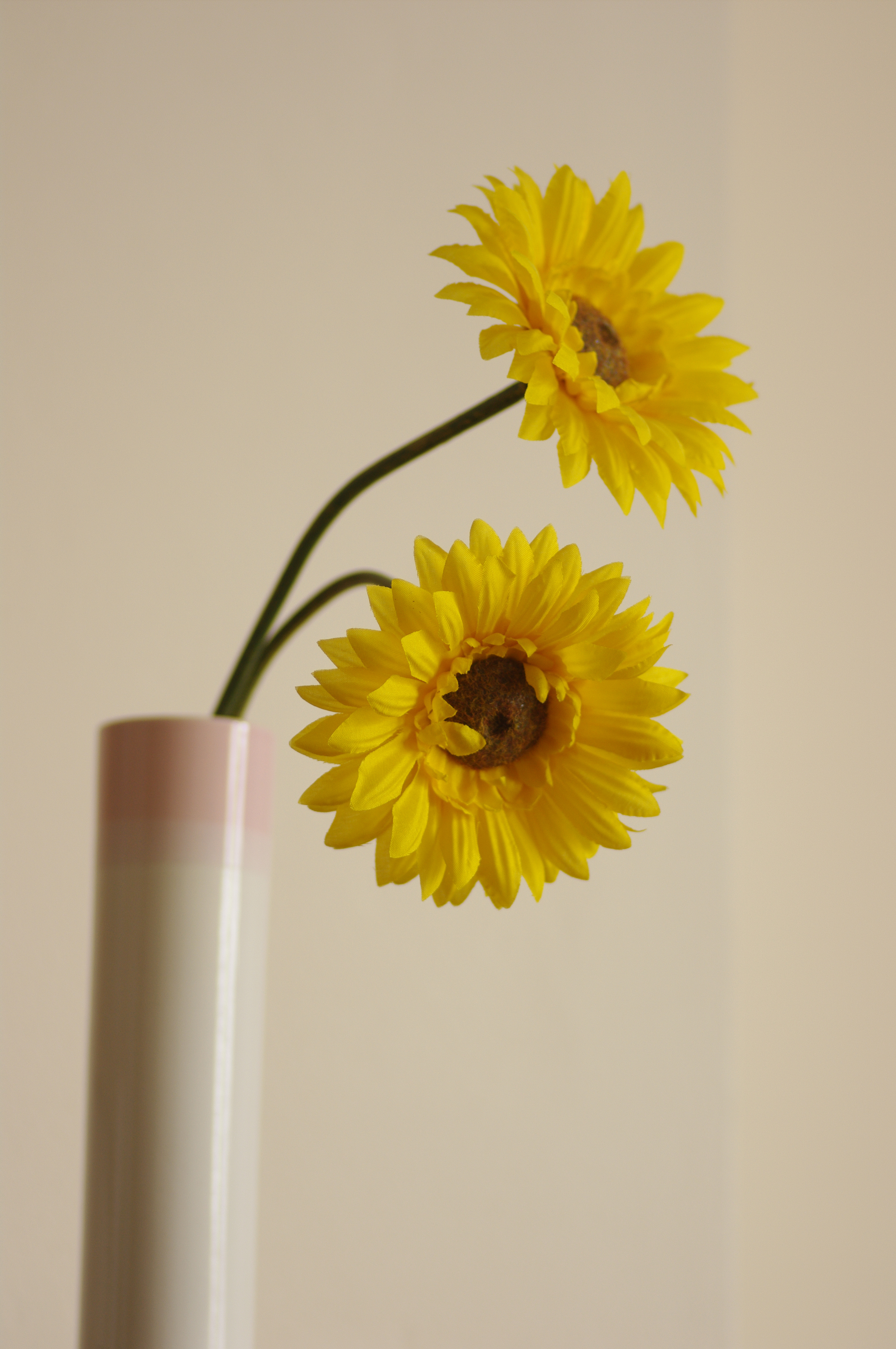 Pentax K-7 pre-production DSLR with firmware 1.00 review sample image