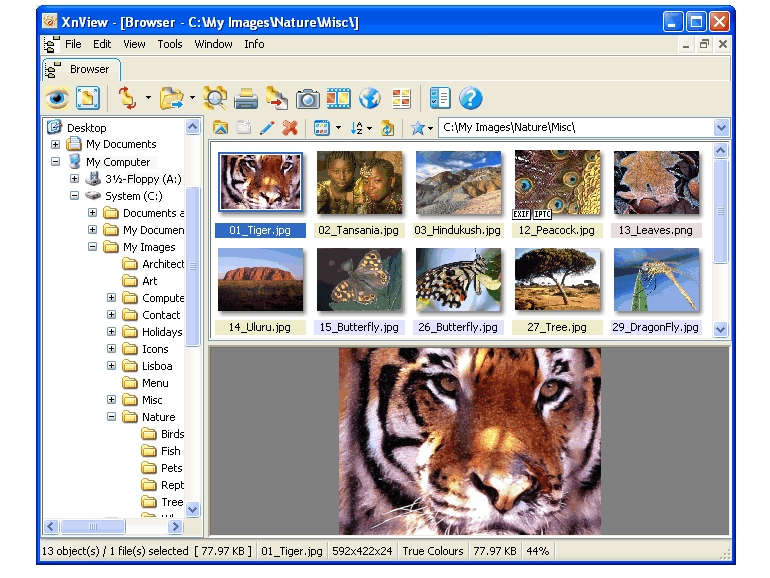 XnView