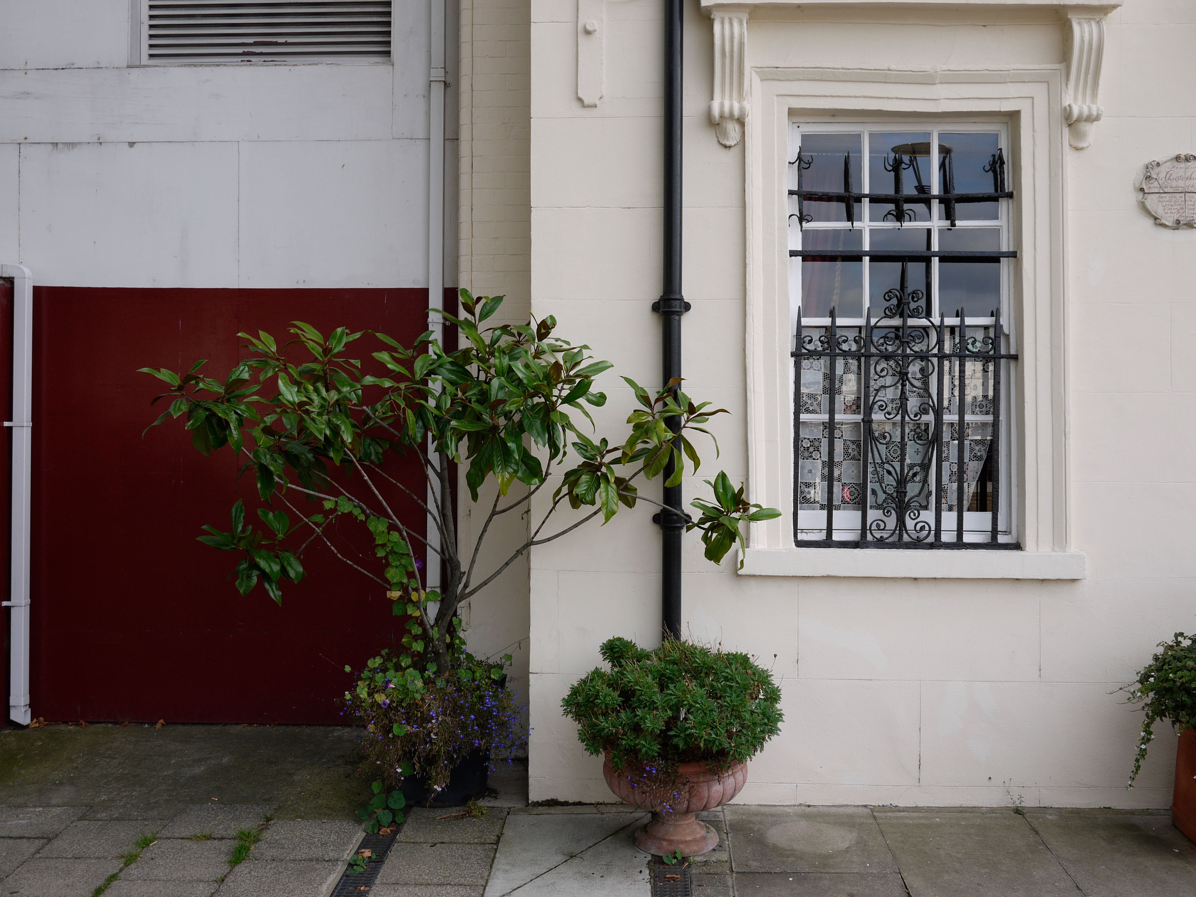Panasonic Lumix Review Sample Image