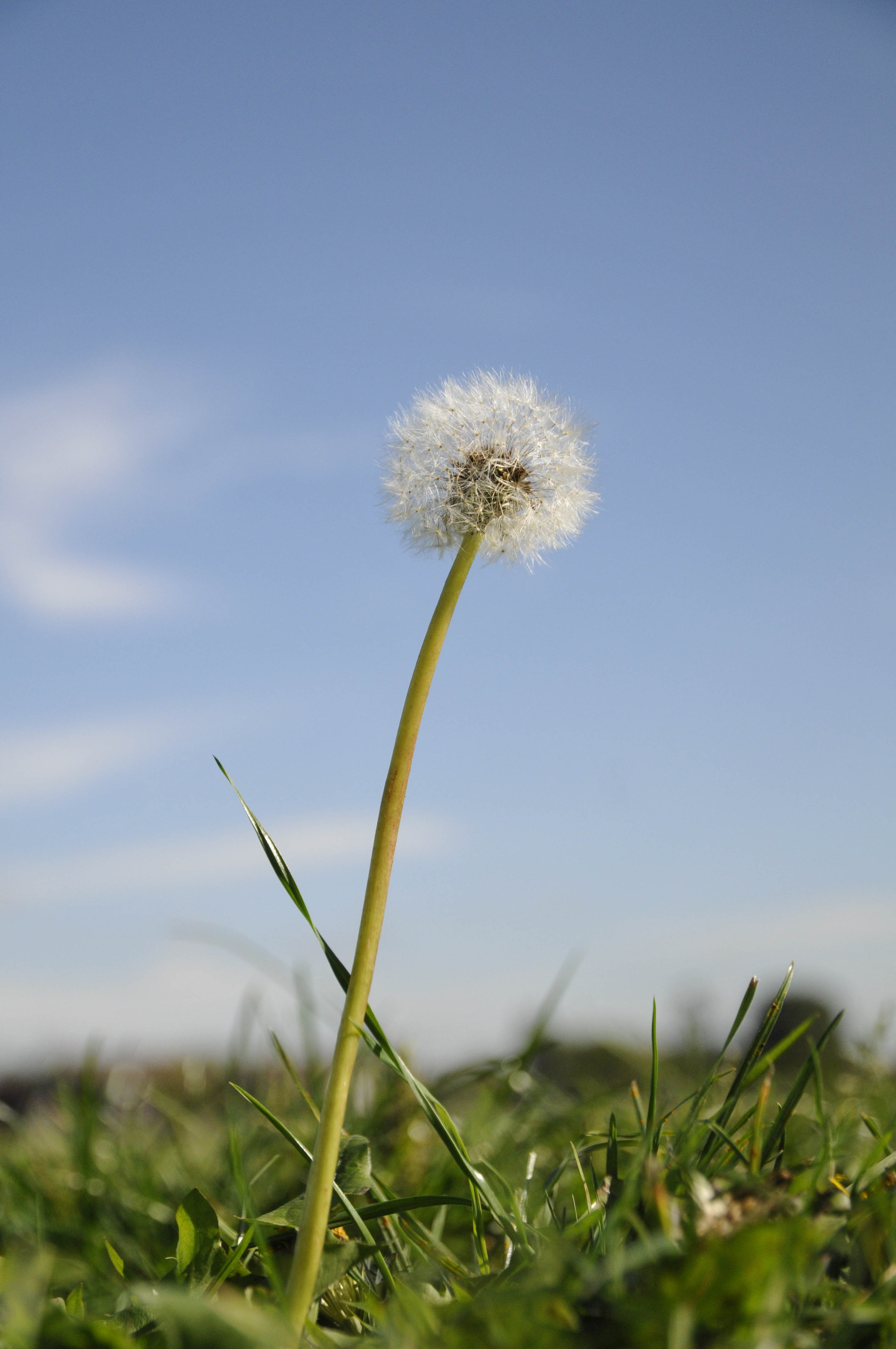 Nikon D300s sample image