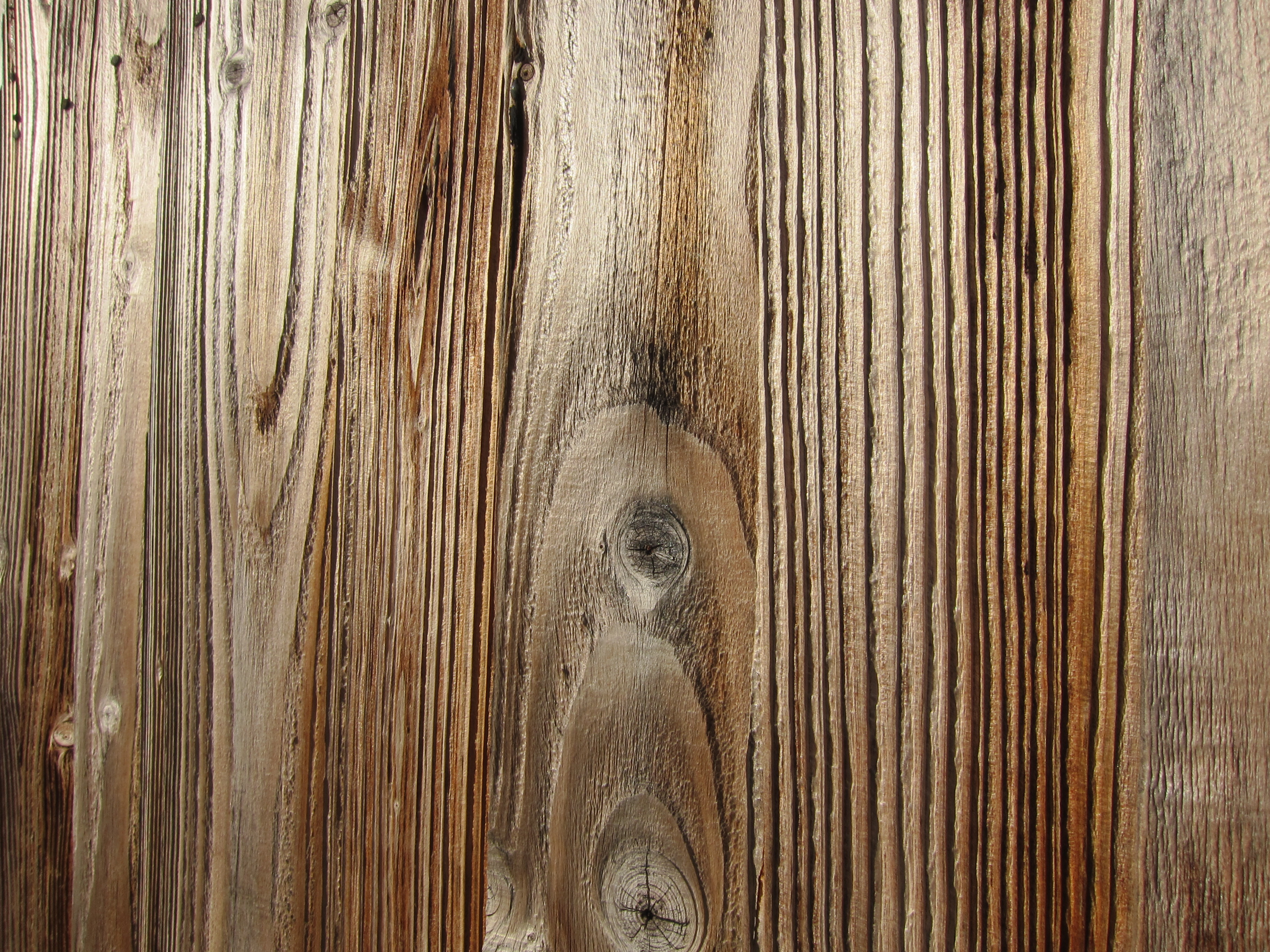 Canon S90 sample shot