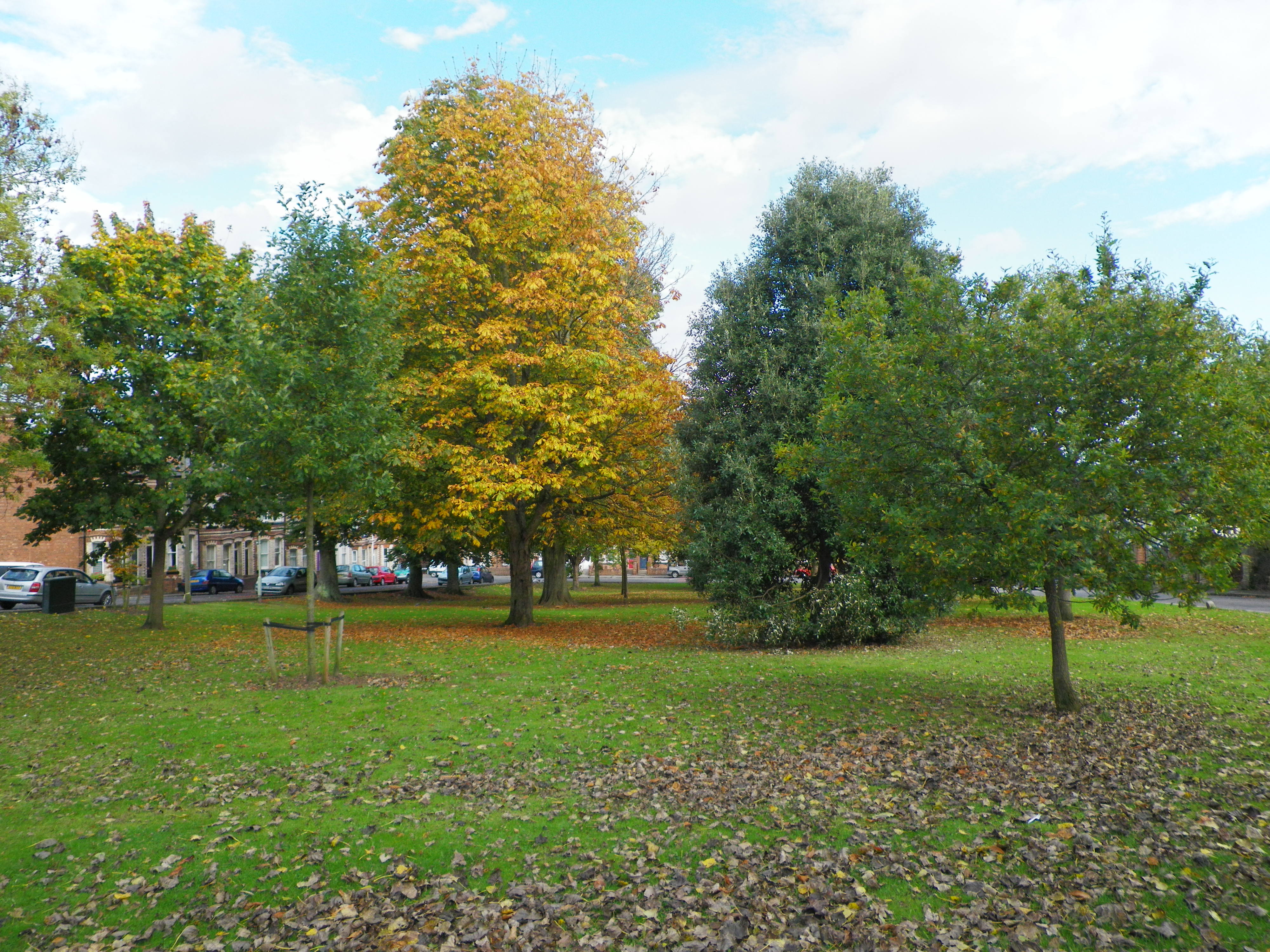 Pentax Optio P80 review sample image
