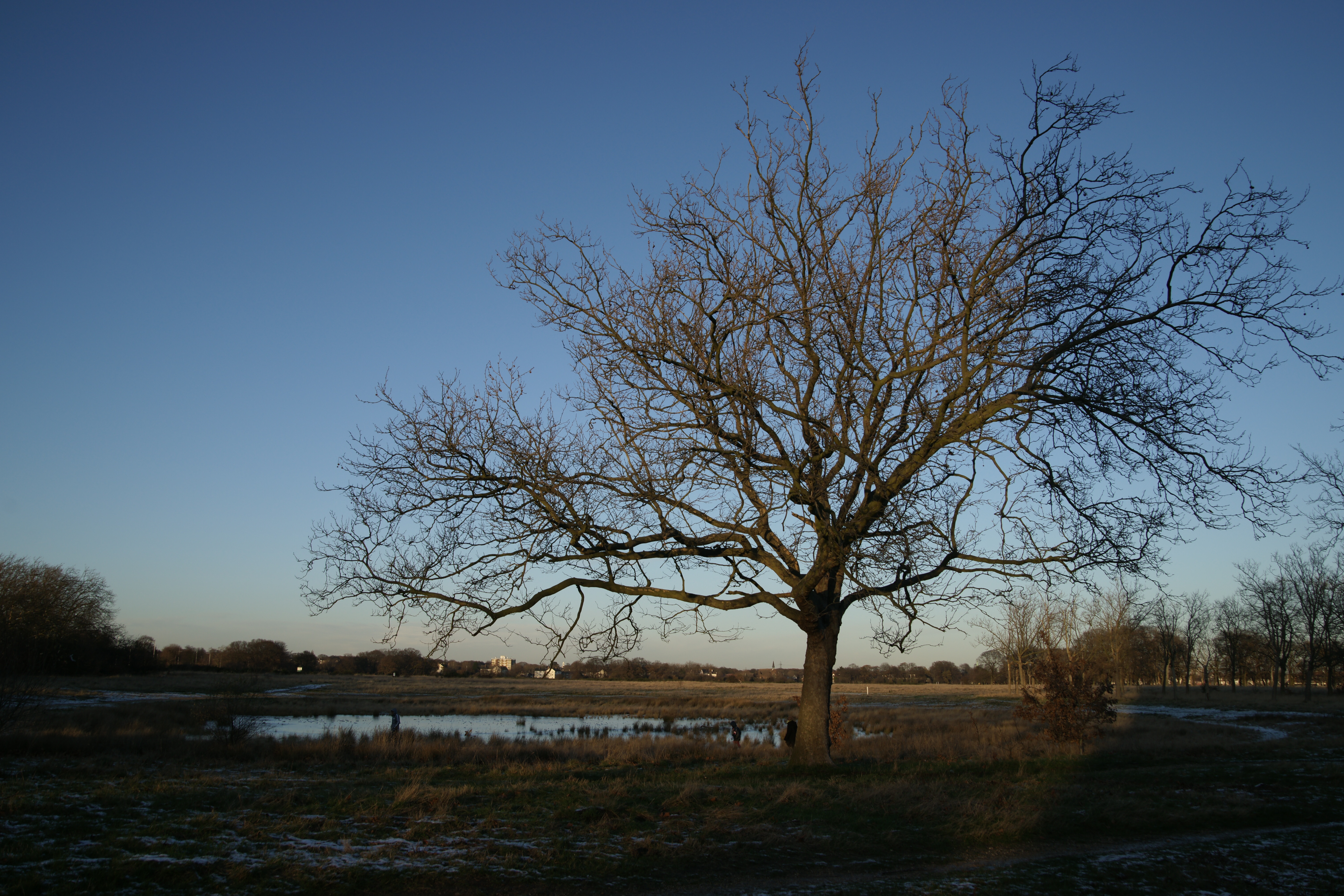 Sony a850 review sample image