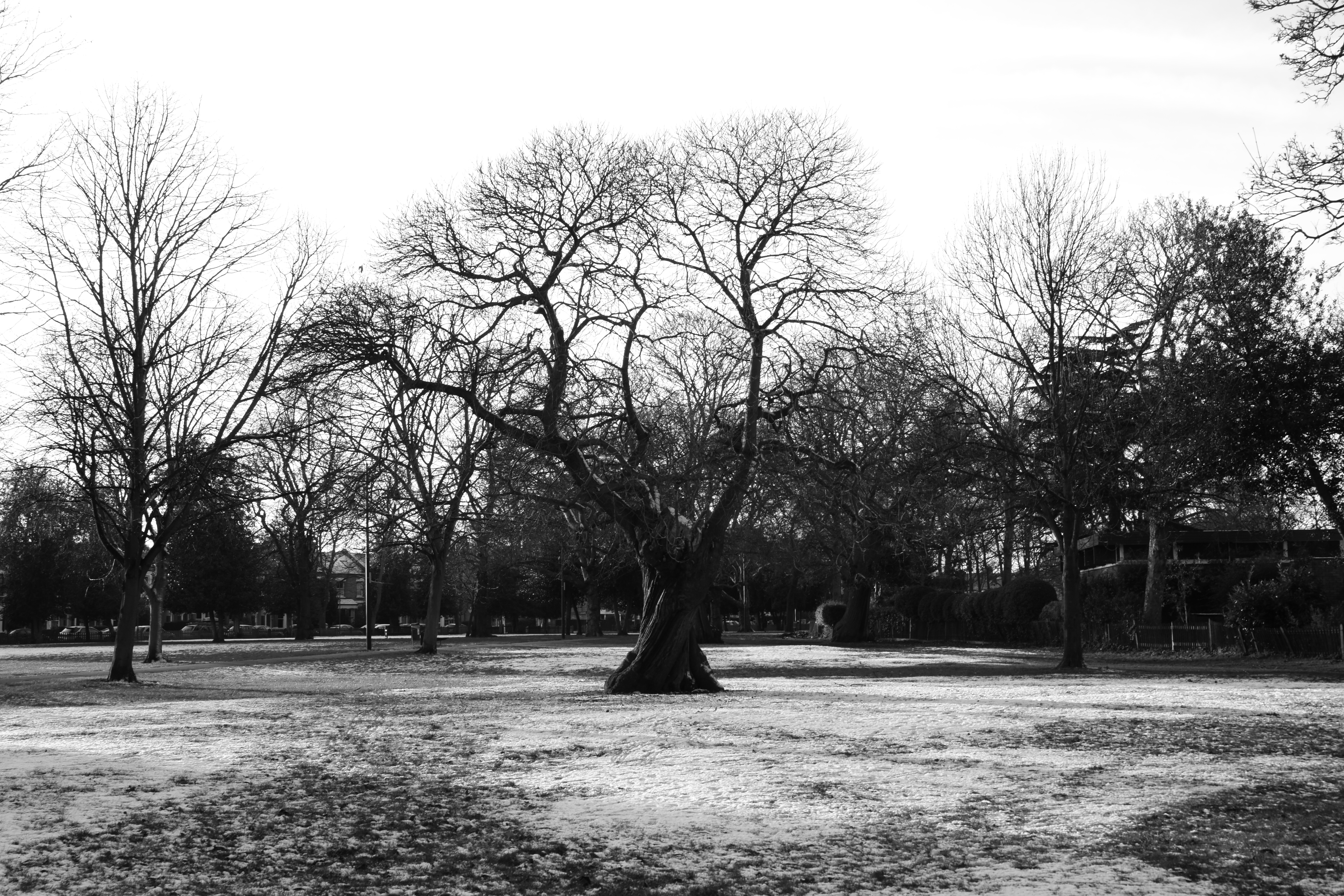 Sony a850 review sample image