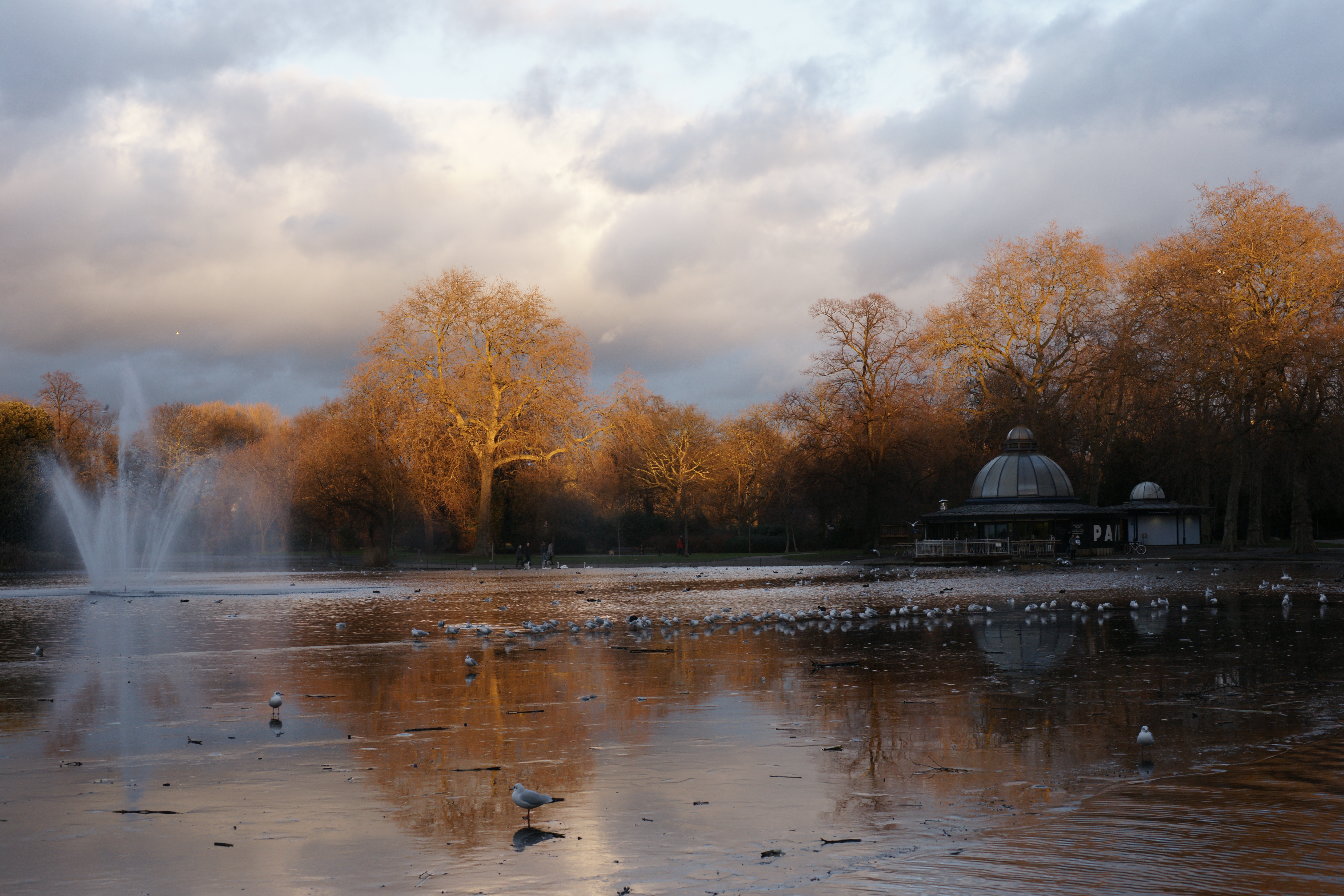 Sony a850 review sample image