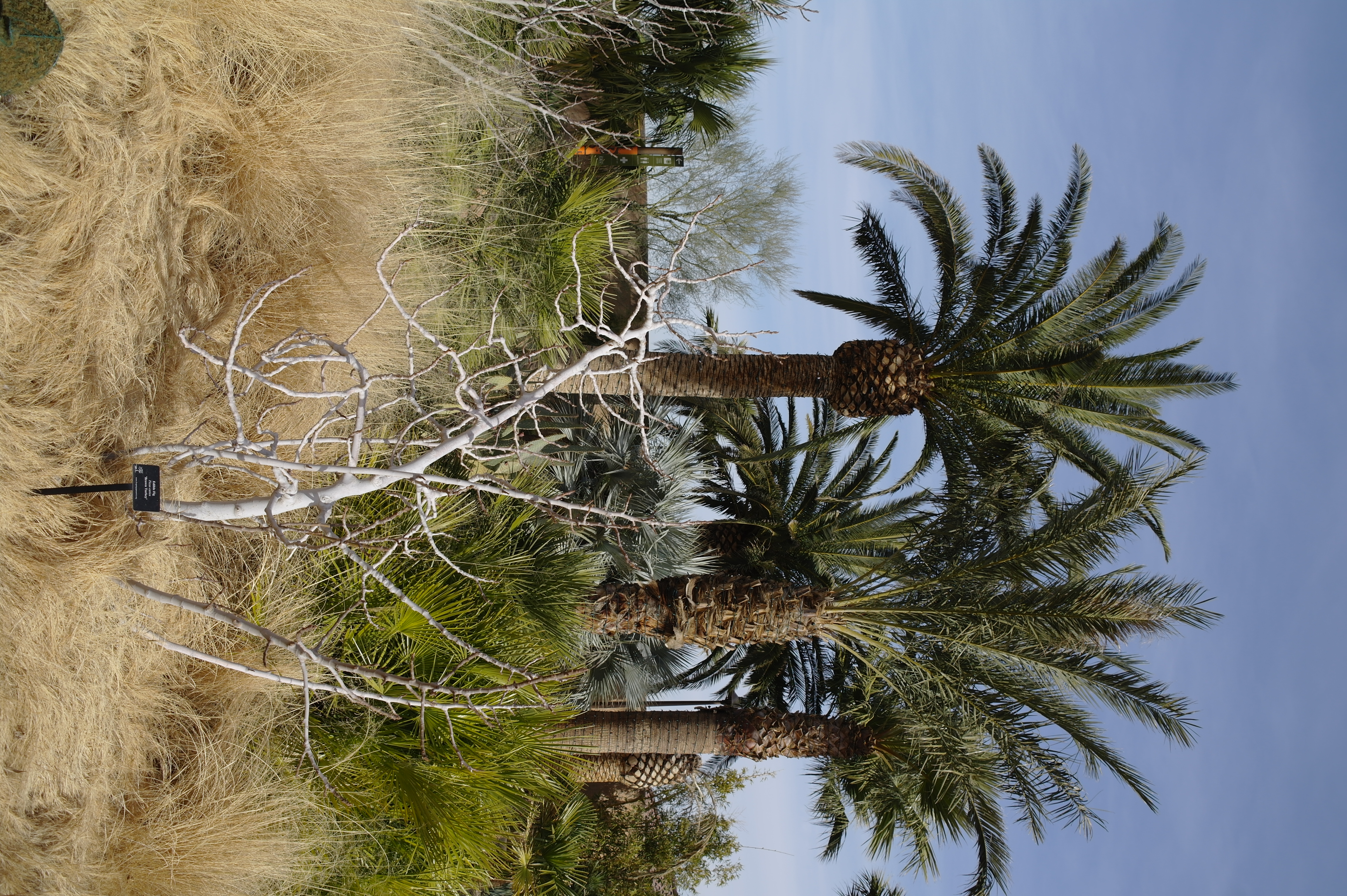 Samsung NX10 sample