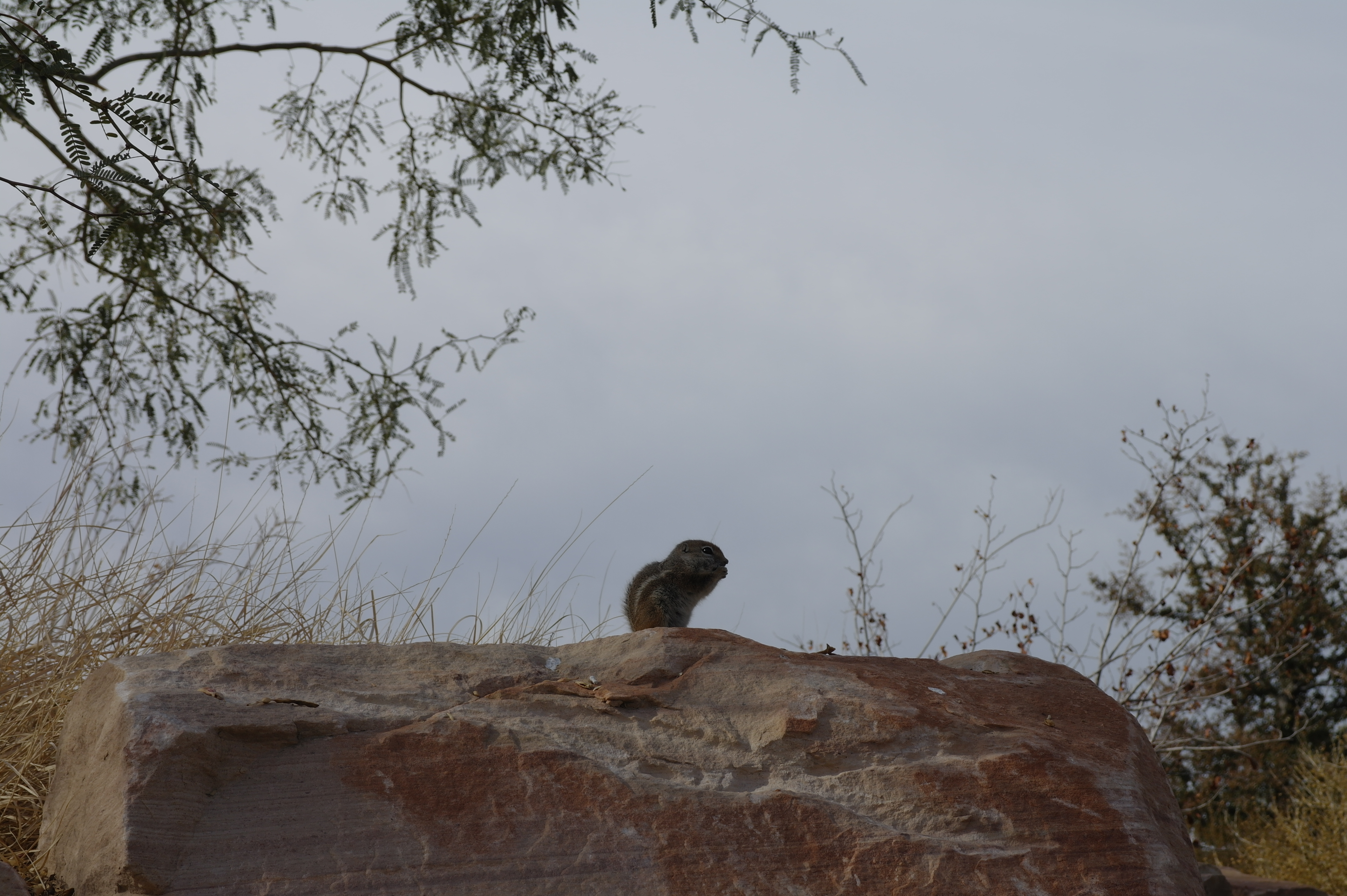 Samsung NX10 sample