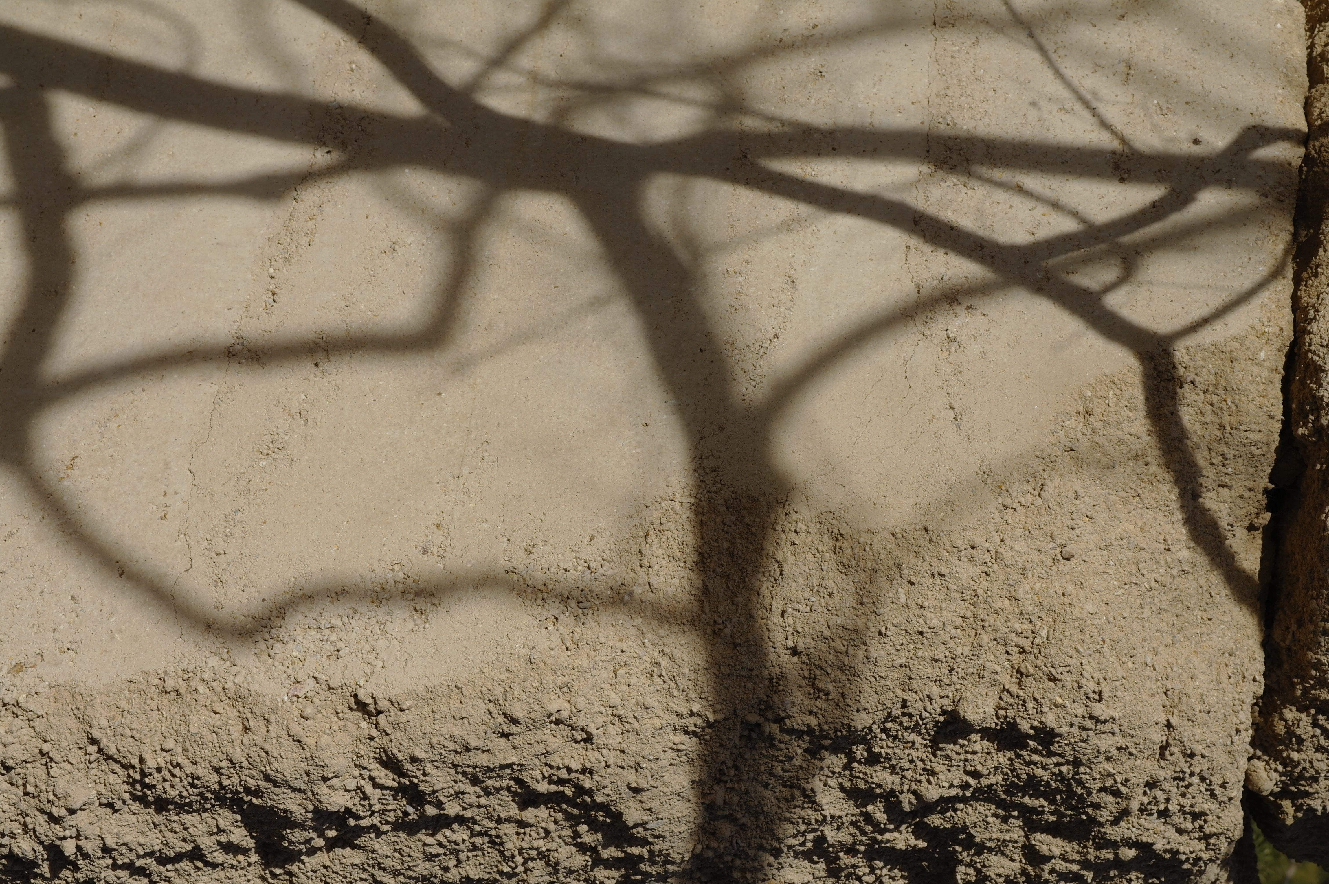Samsung NX10 sample