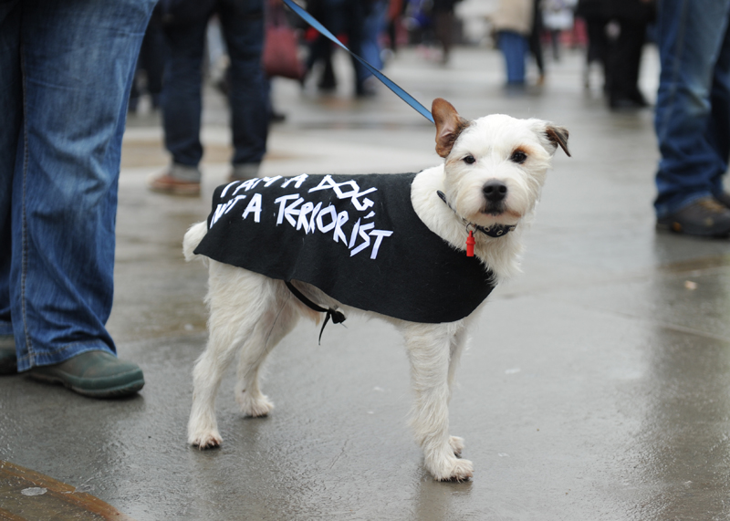 Photo protest dog