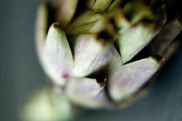 Depth of Field Explained - Main image