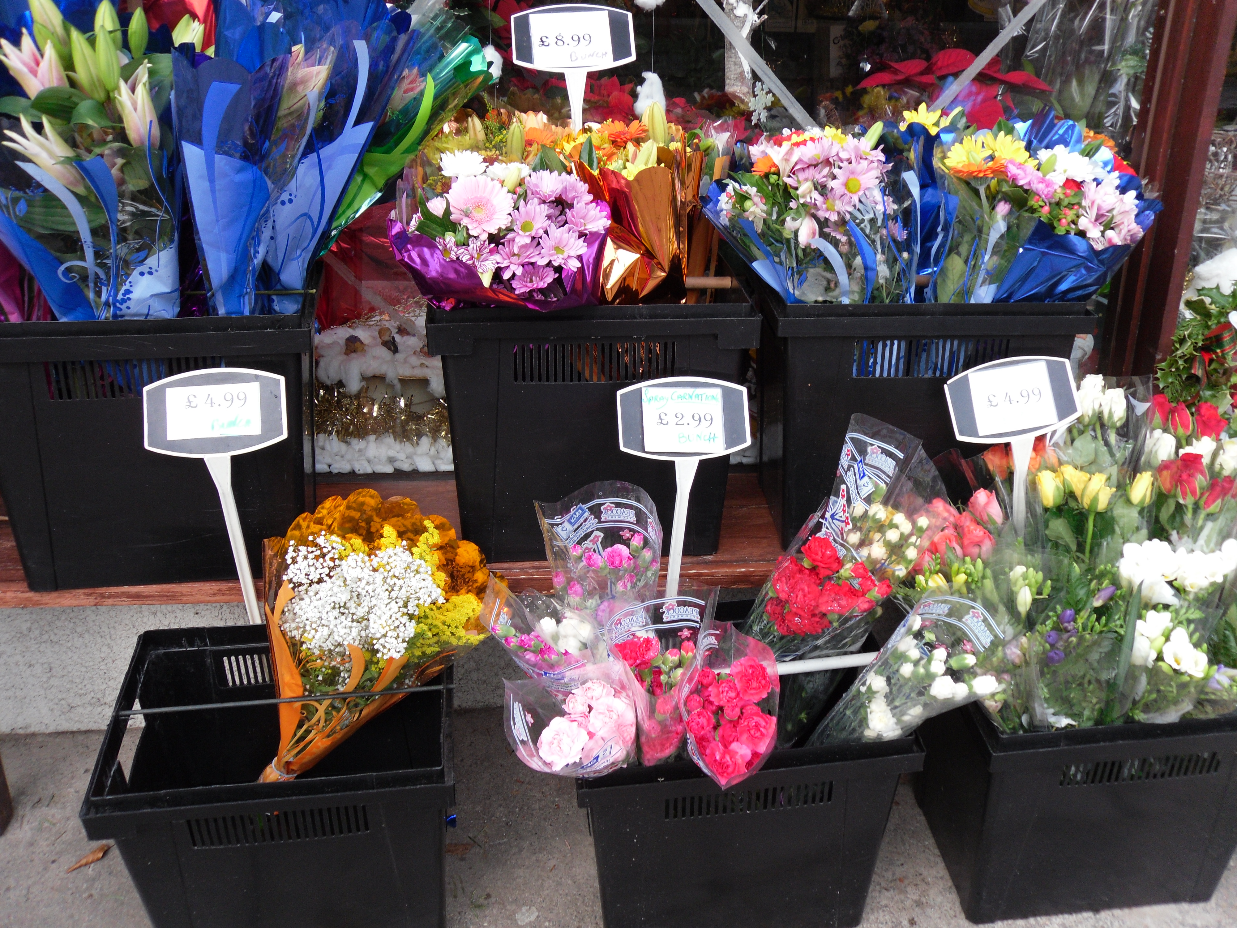 Sample images of the Samsung PL55 digltal camera
