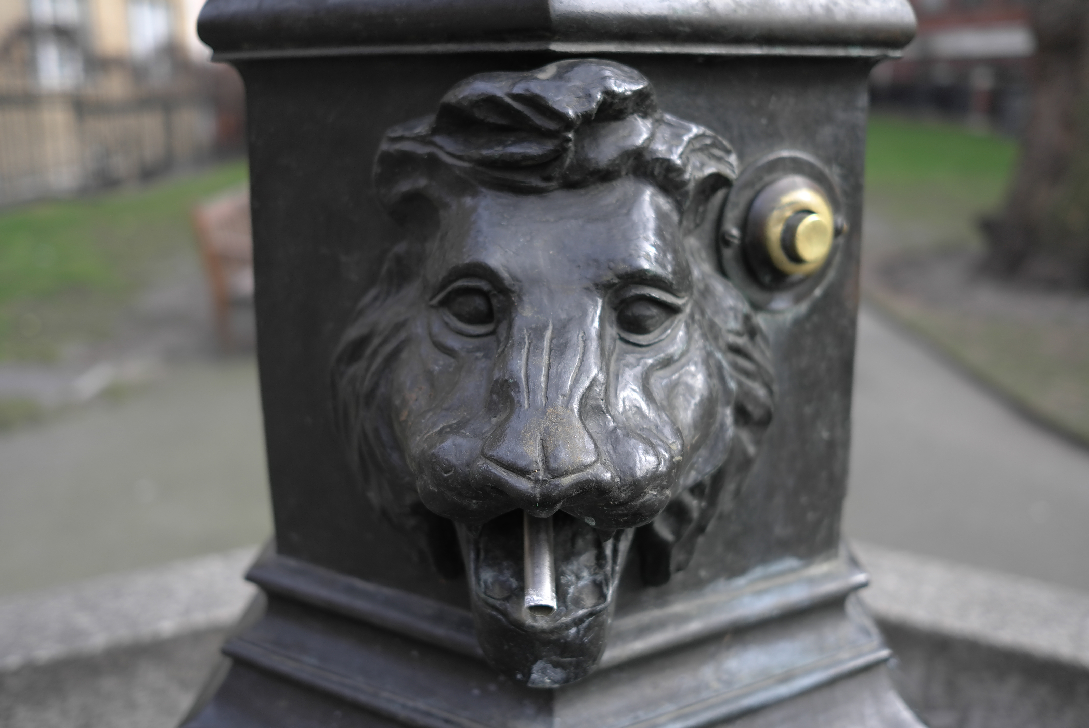 Leica X1 preview sample images