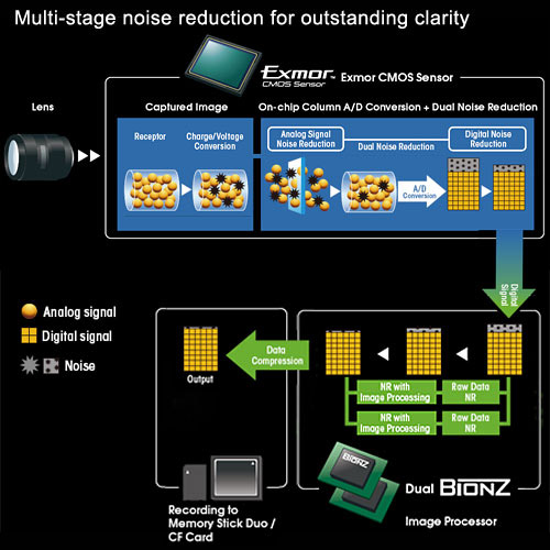 Noise Reduction