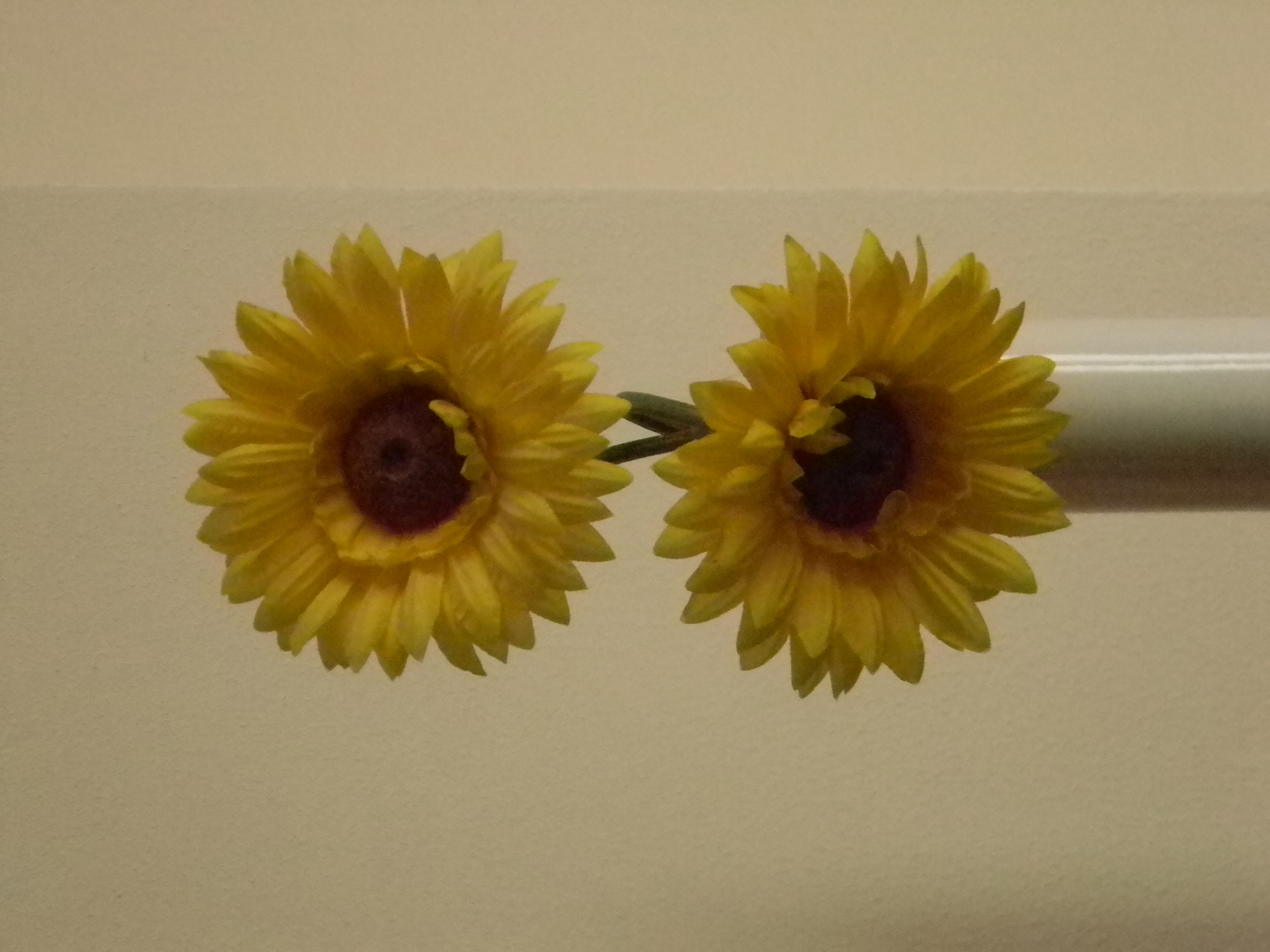 Nikon L110 review sample image ISO 1600