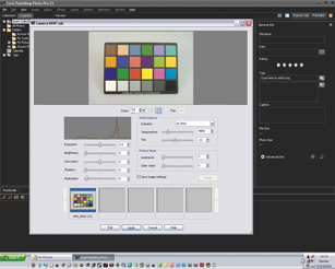 Corel RAW