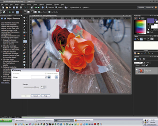 Corel Vibrancy