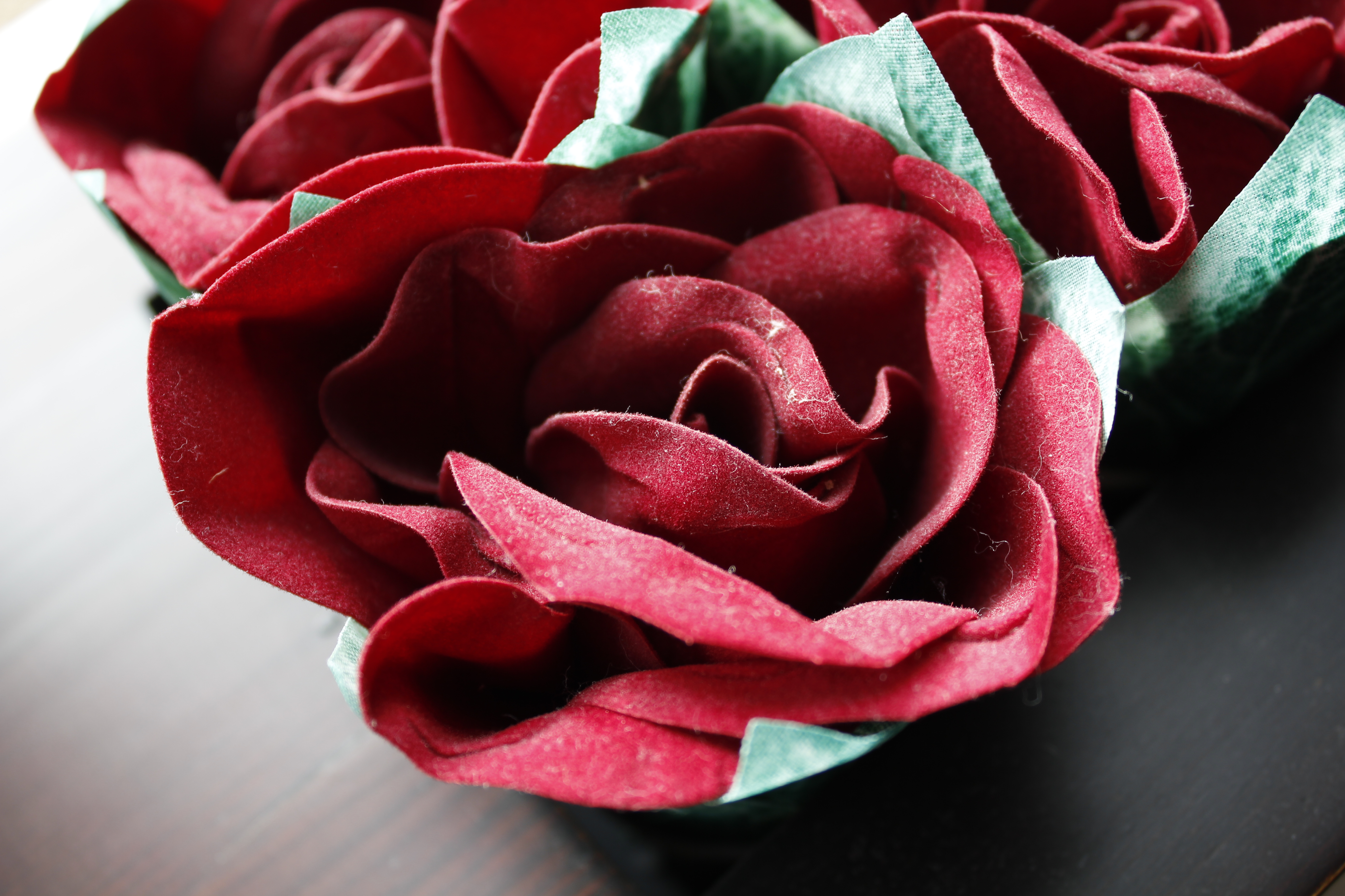 Canon EOS 550D Test Shot 1