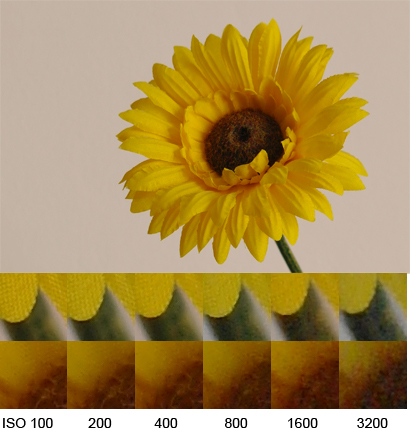 Samsung NX10 review sample image