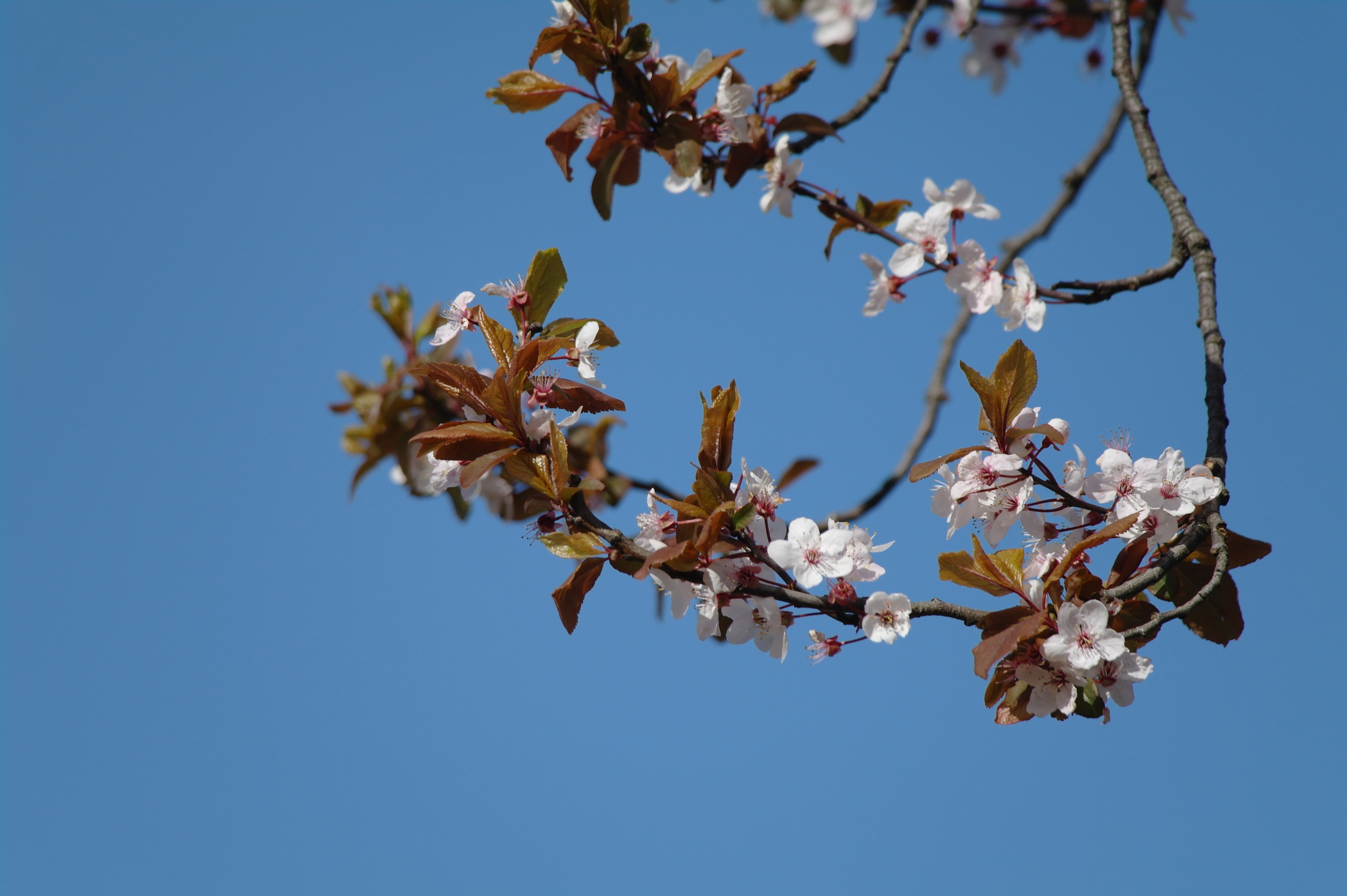 Samsung NX10 review sample image