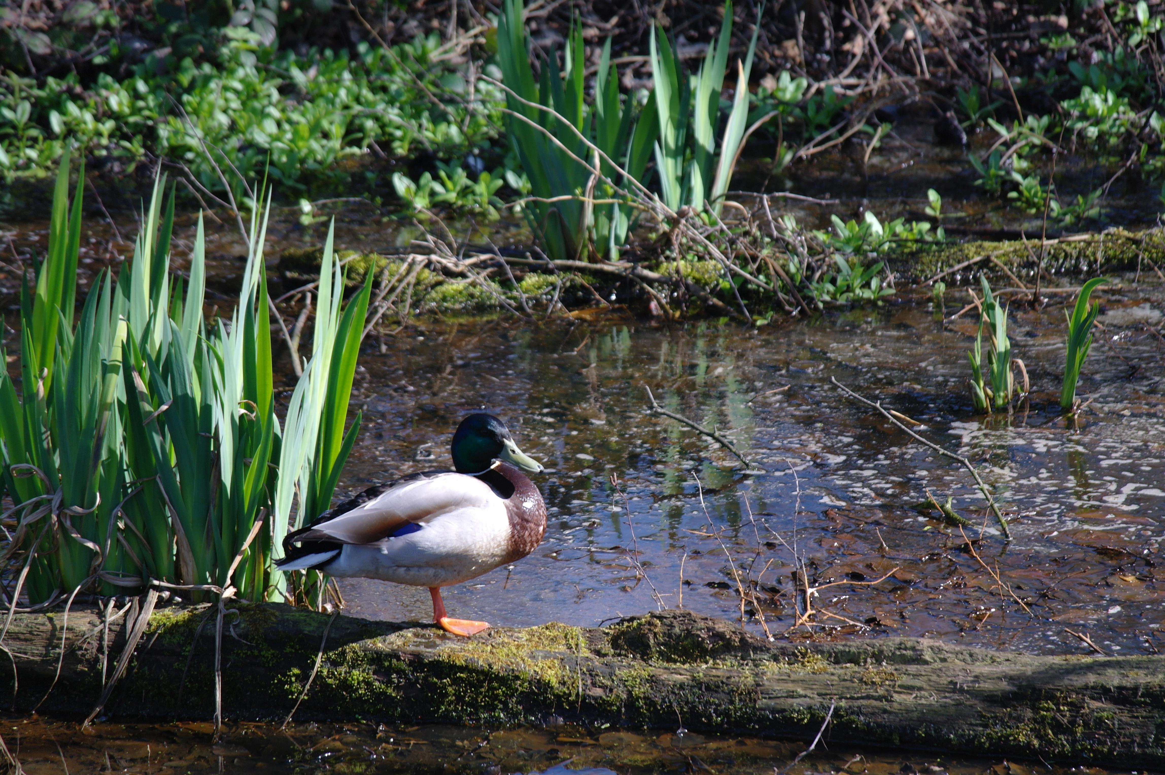 Samsung NX10 review sample image