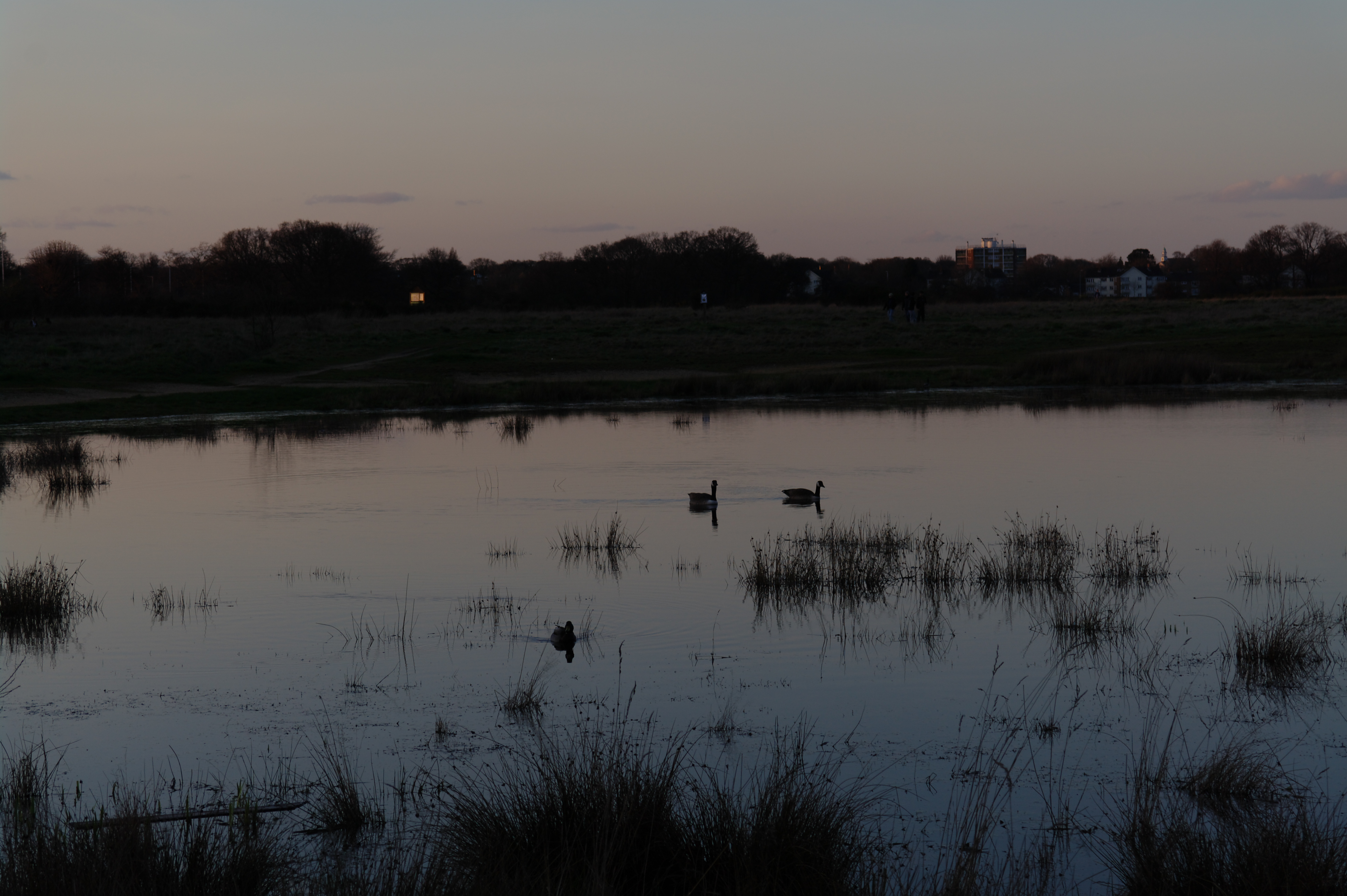 Samsung NX10 review sample image