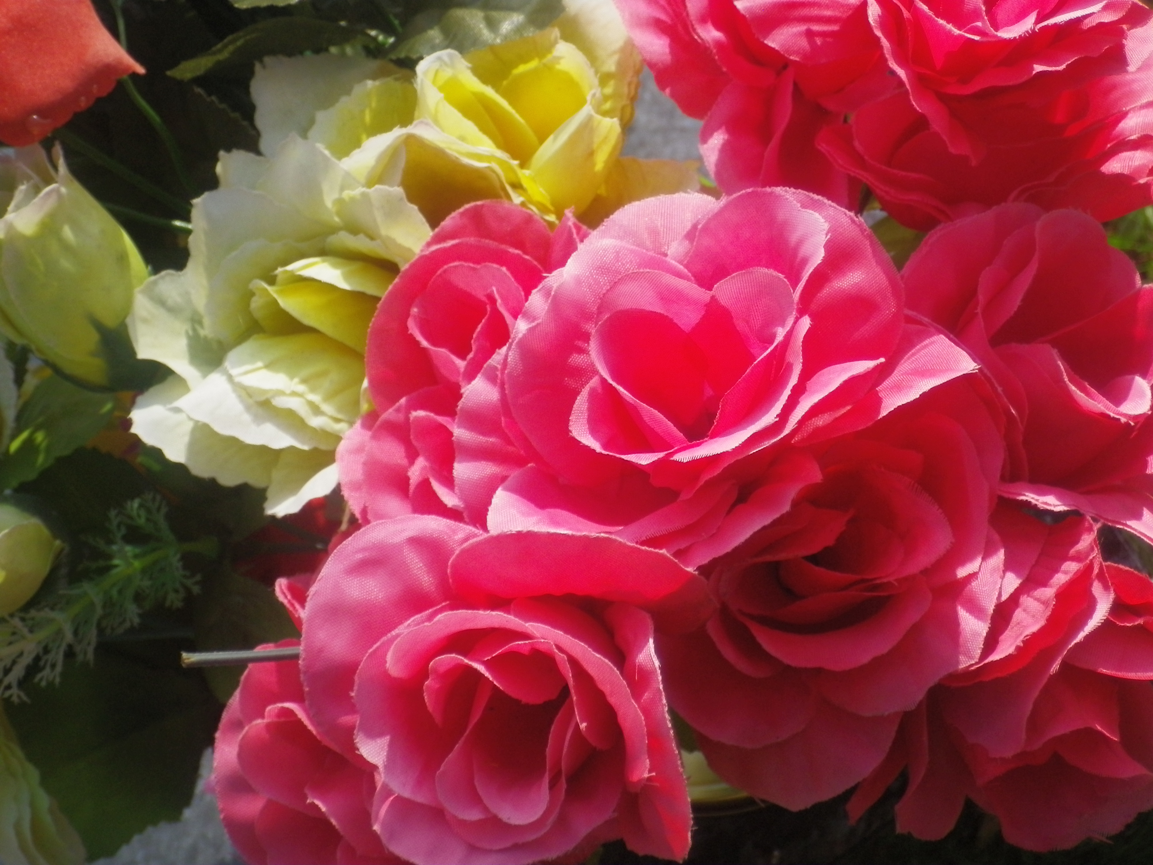 Pentax H90 review sample image