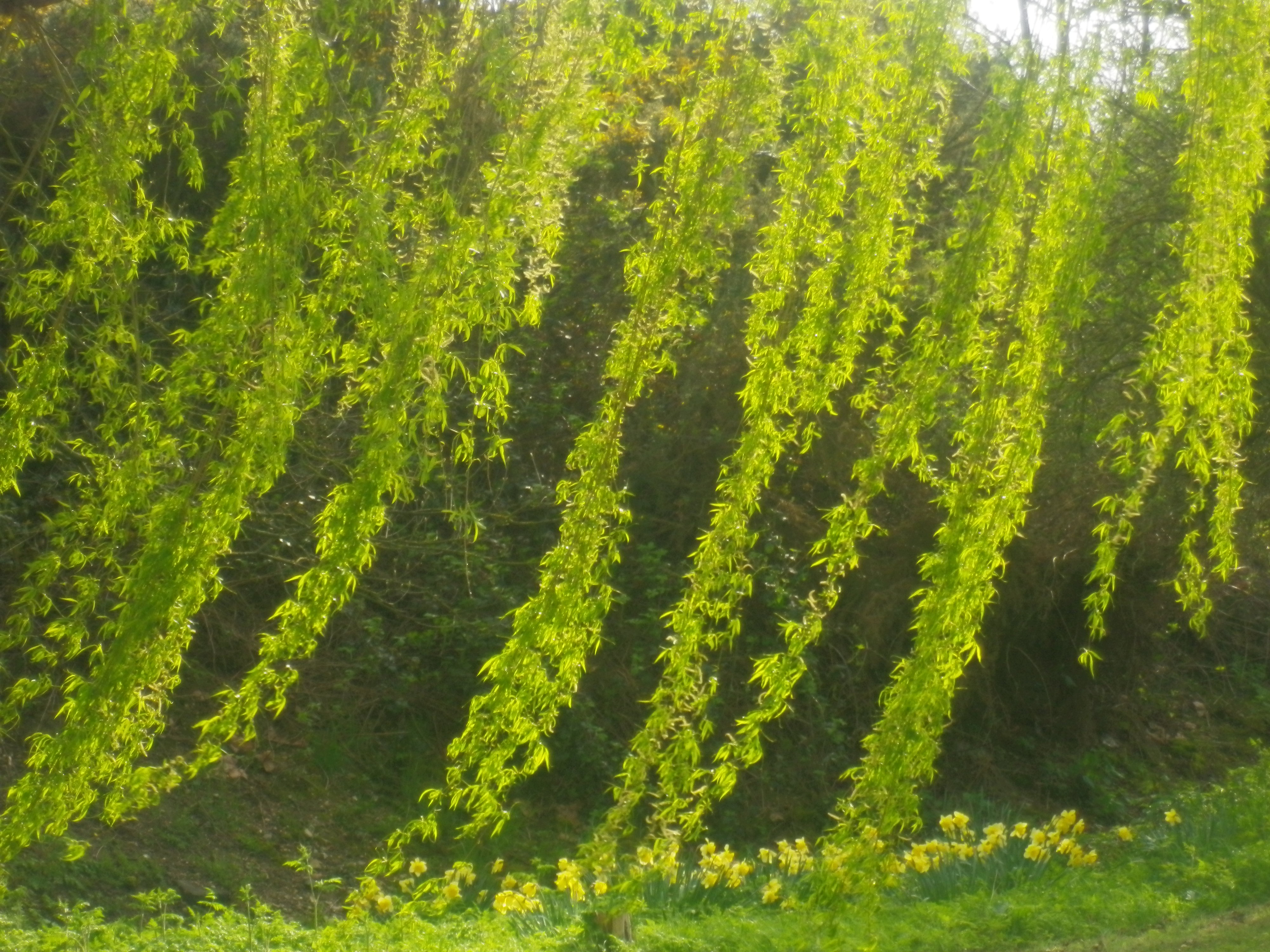 Pentax H90 review sample image