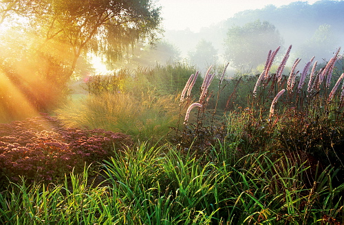 International Garden Photographer of the Year - Marianne Majerus