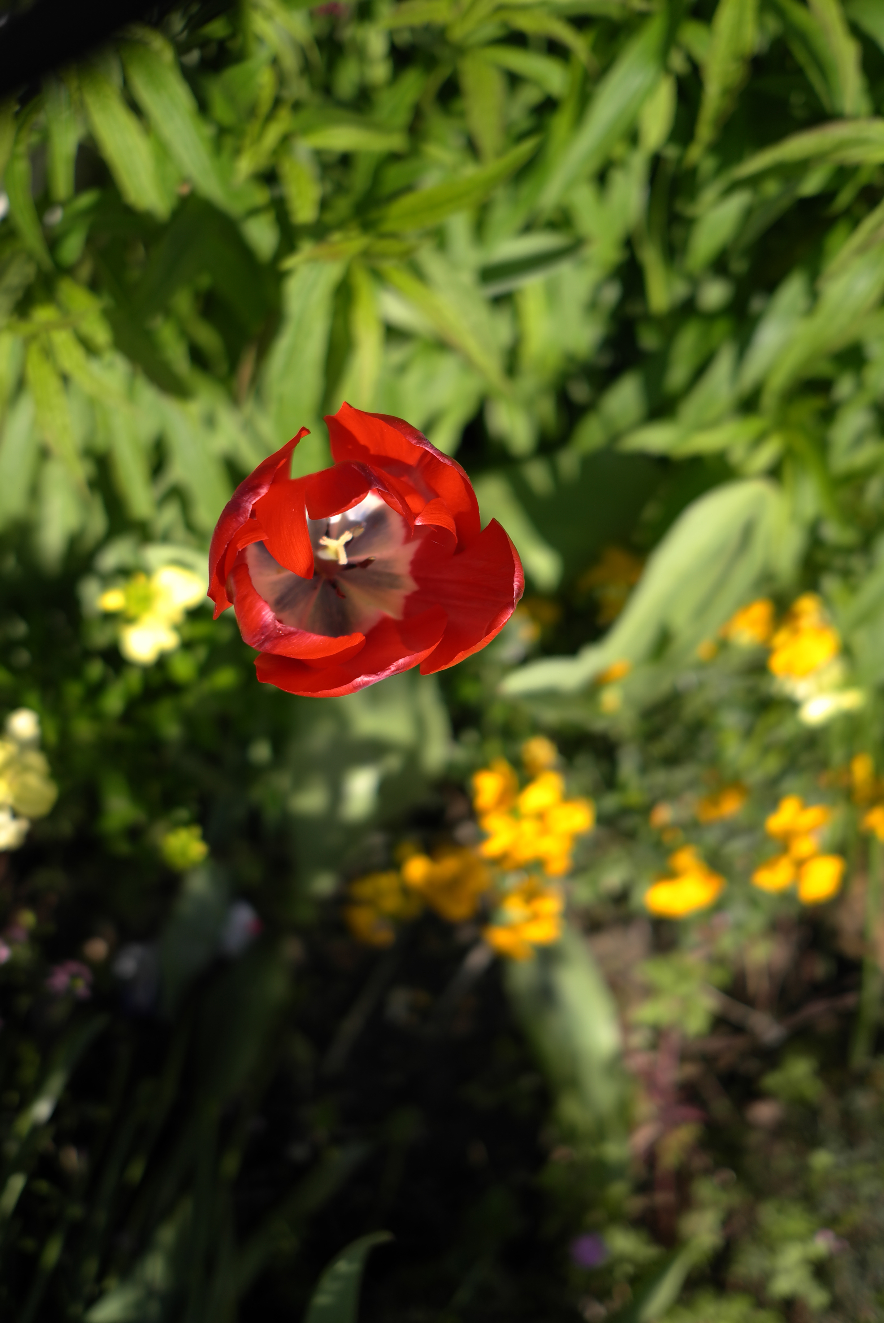 Leica X1 review sample image 