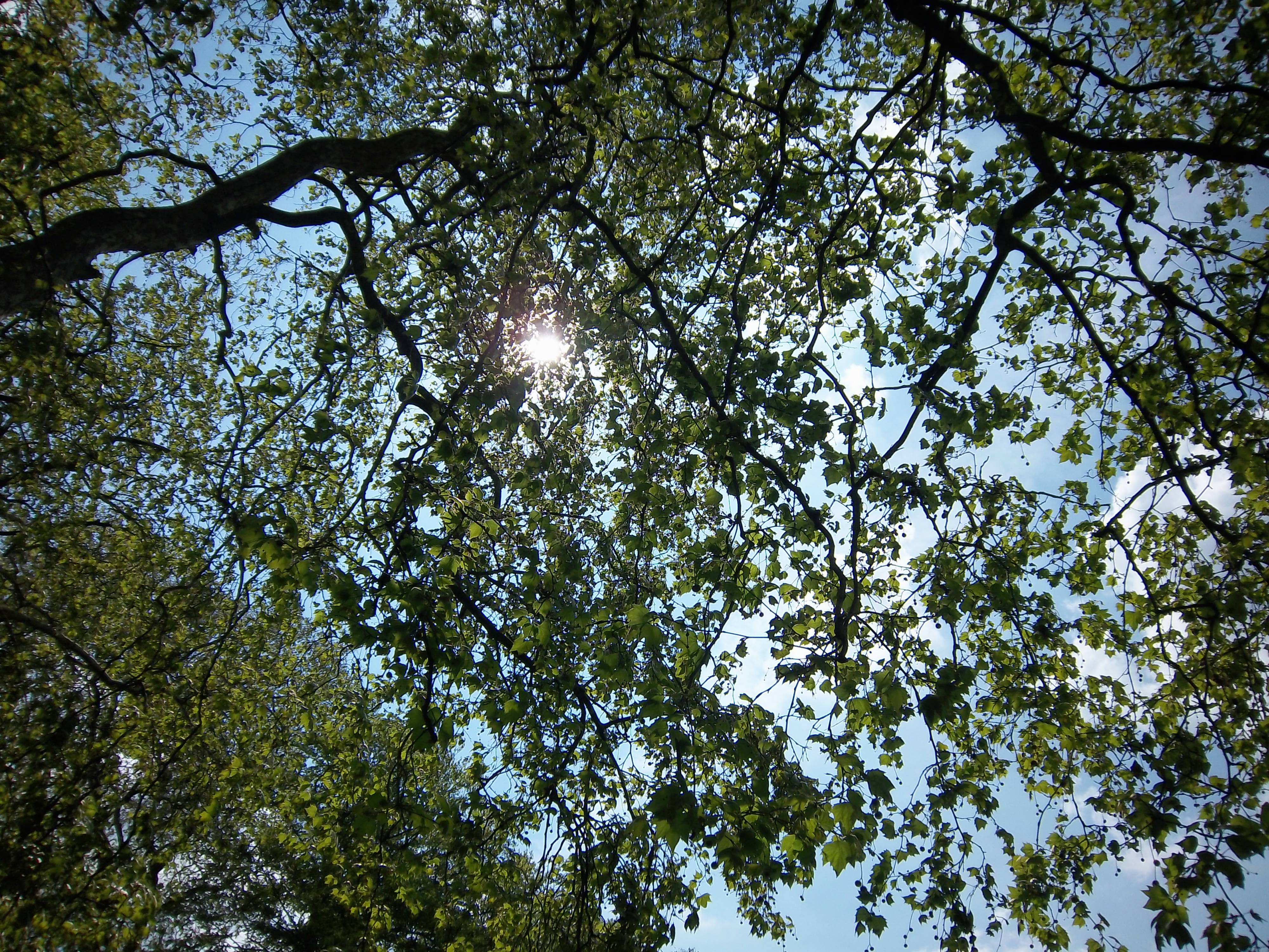 Kodak EASYSHARE M550 review sample image